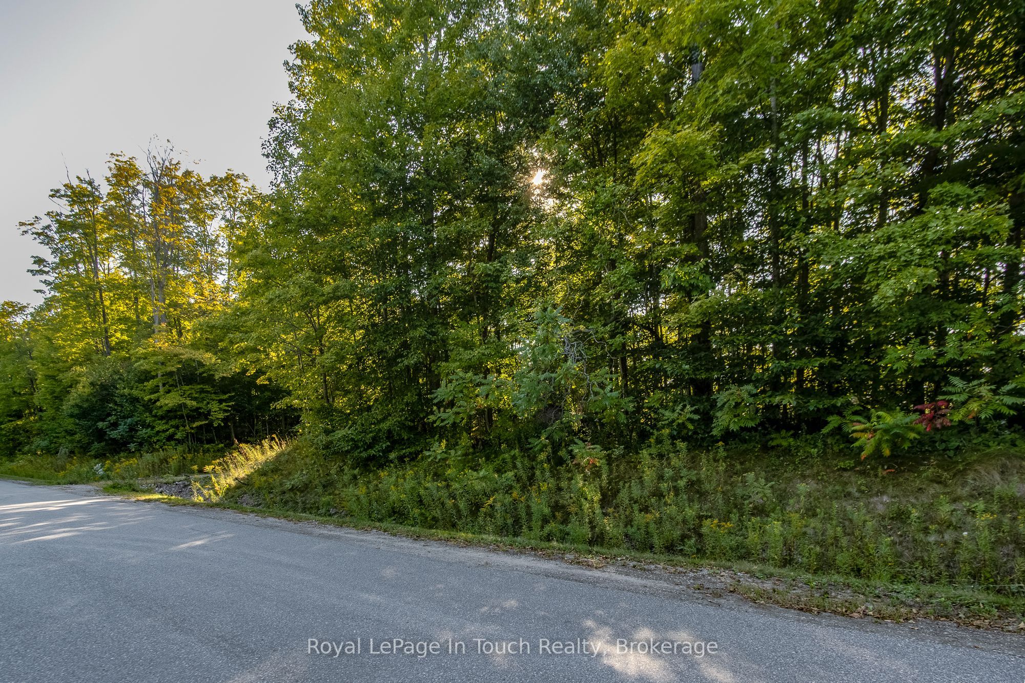 Lt 16&17 Nippissing Ridge Road Property Photo 19