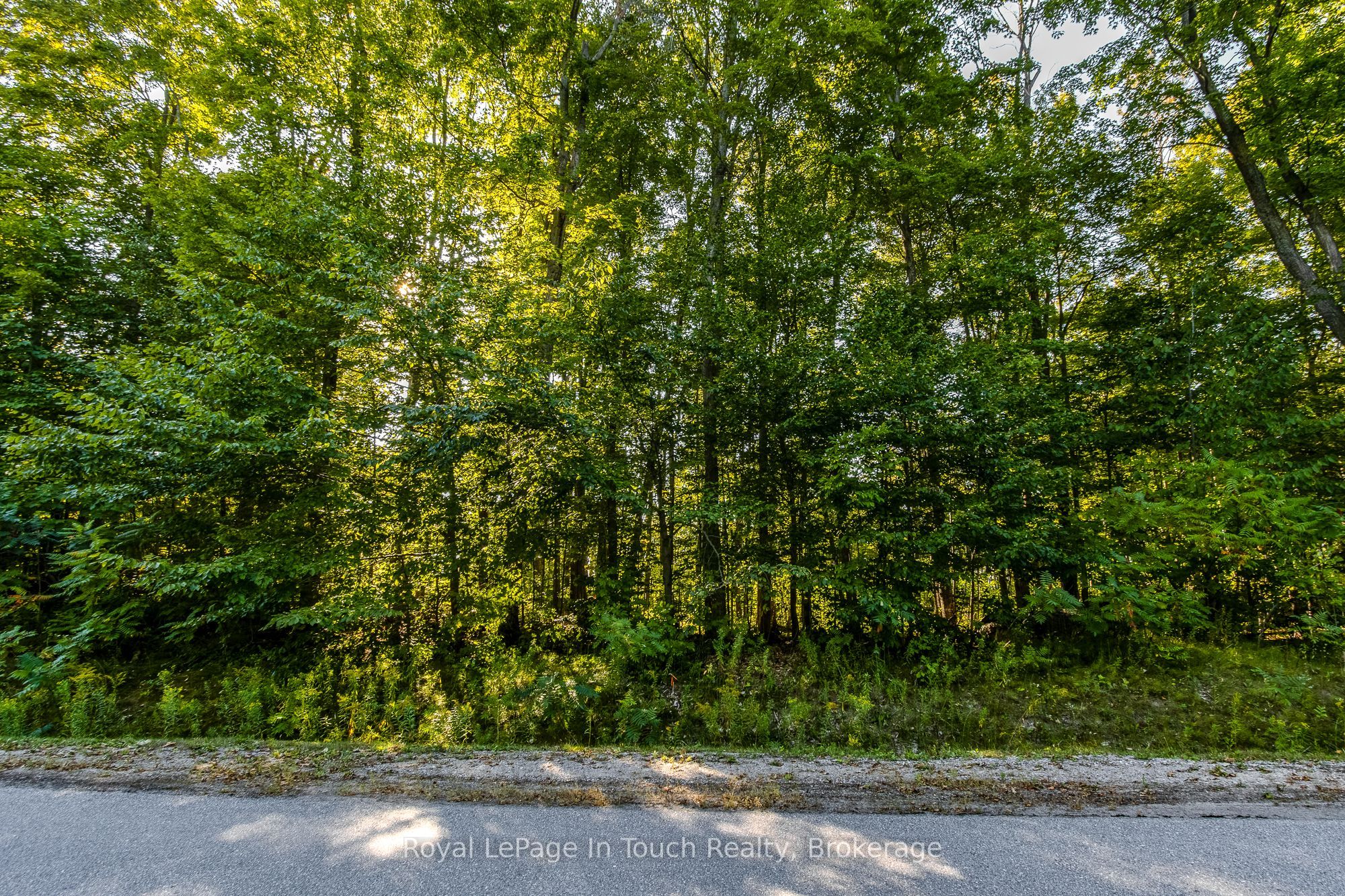 Lt 16&17 Nippissing Ridge Road Property Photo 20