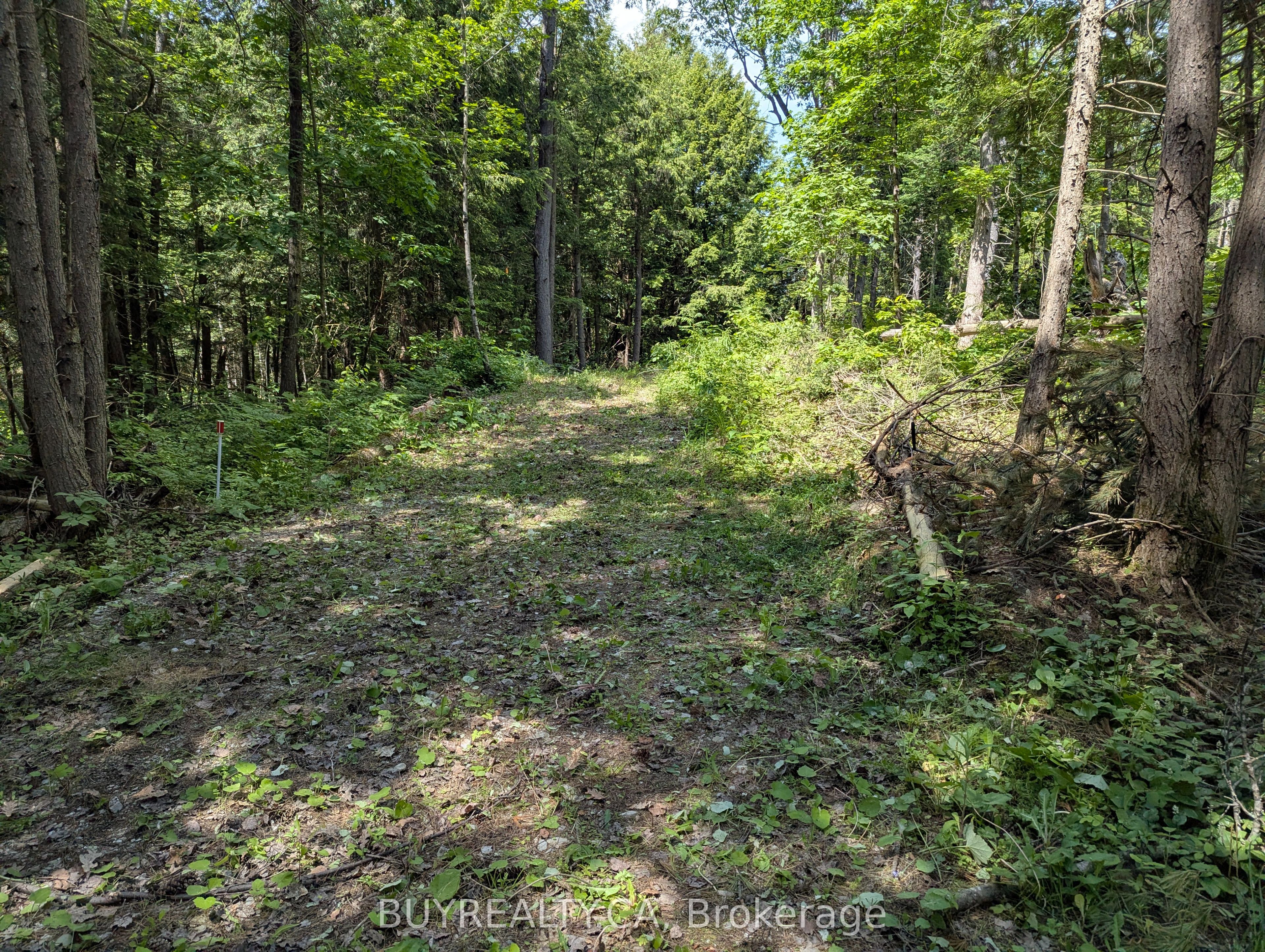 2318 Sherwood Forest Lane Property Photo 2