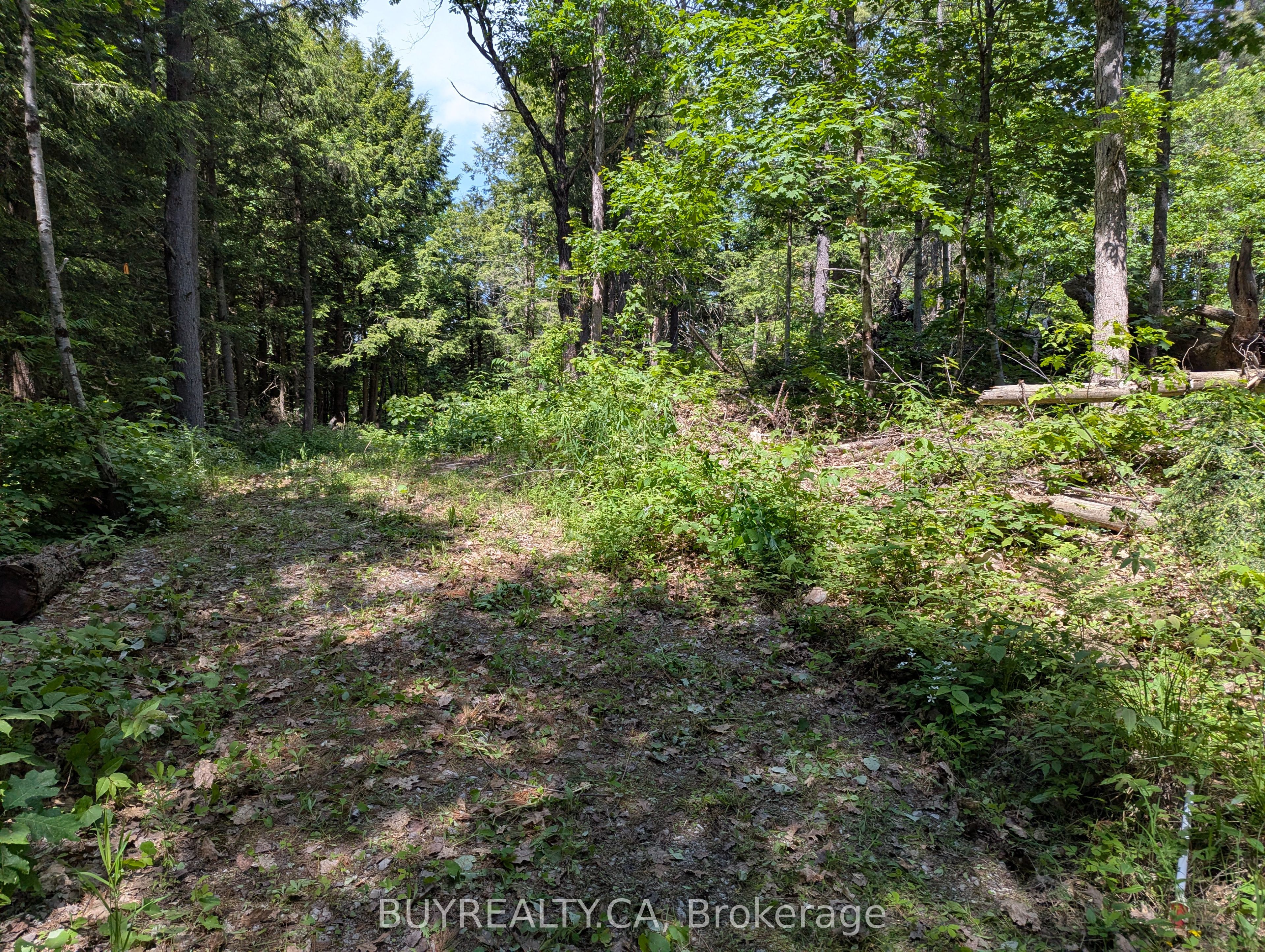 2318 Sherwood Forest Lane Property Photo 3