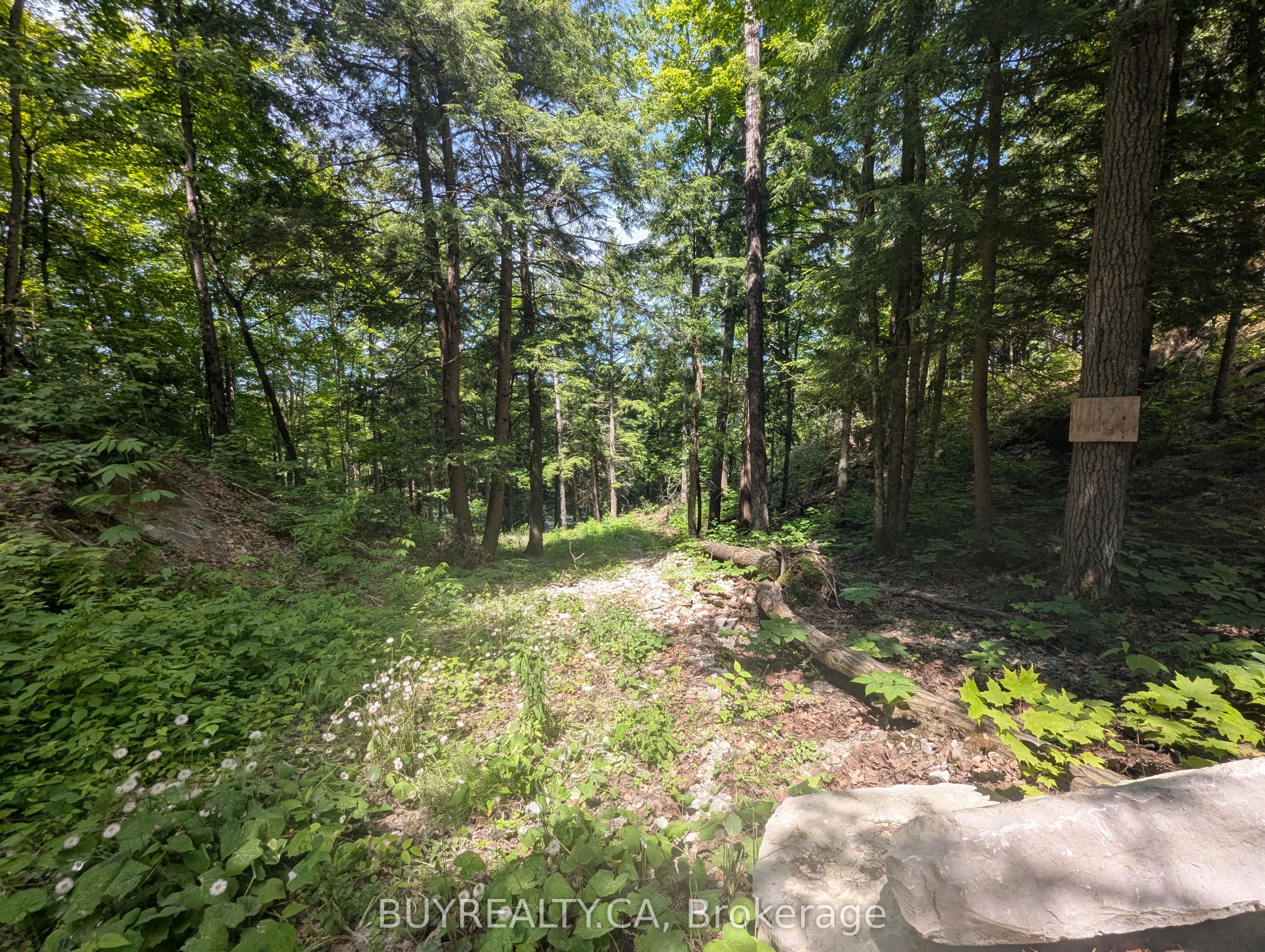 2318 Sherwood Forest Lane Property Photo 4