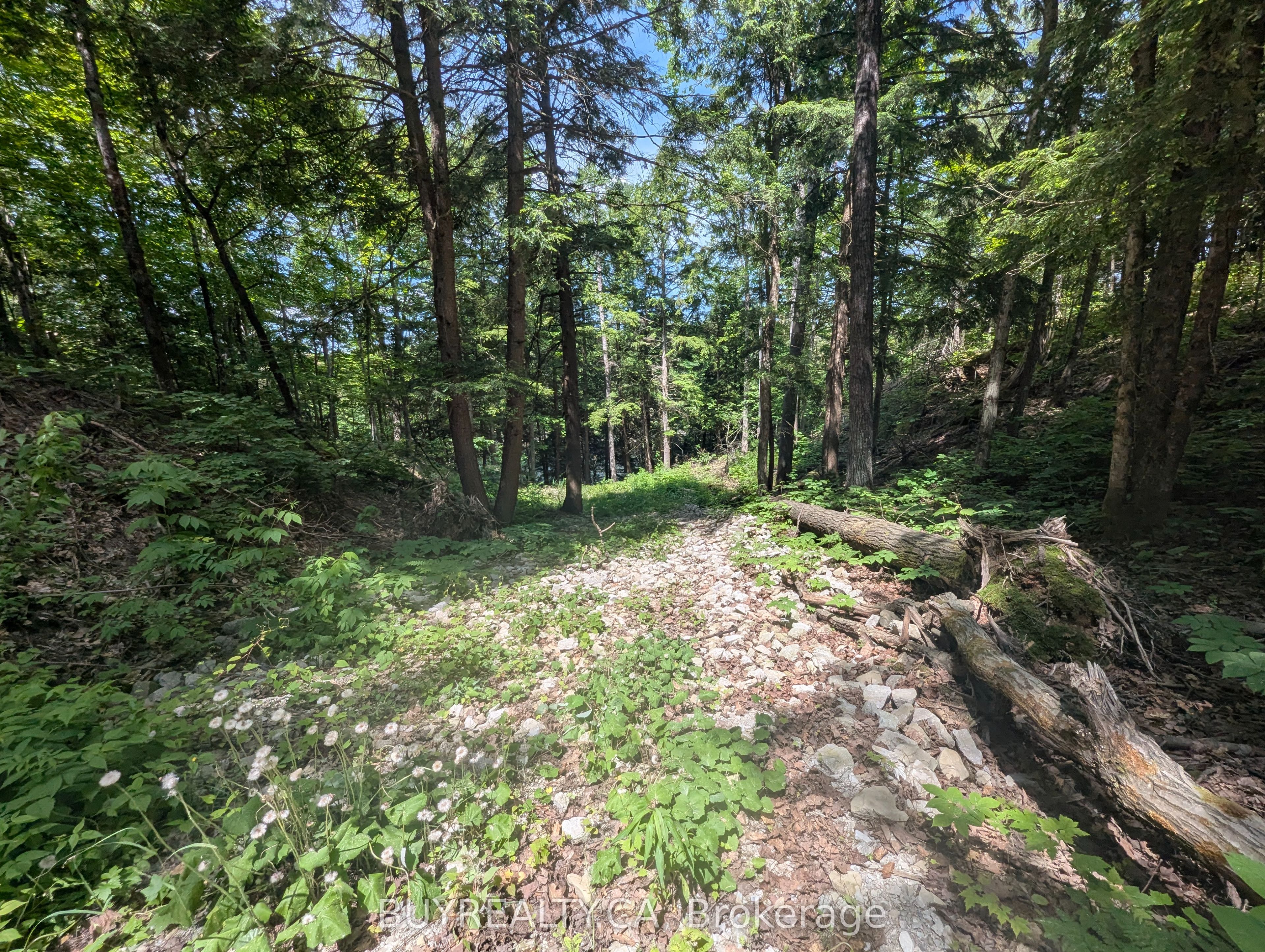 2318 Sherwood Forest Lane Property Photo 6