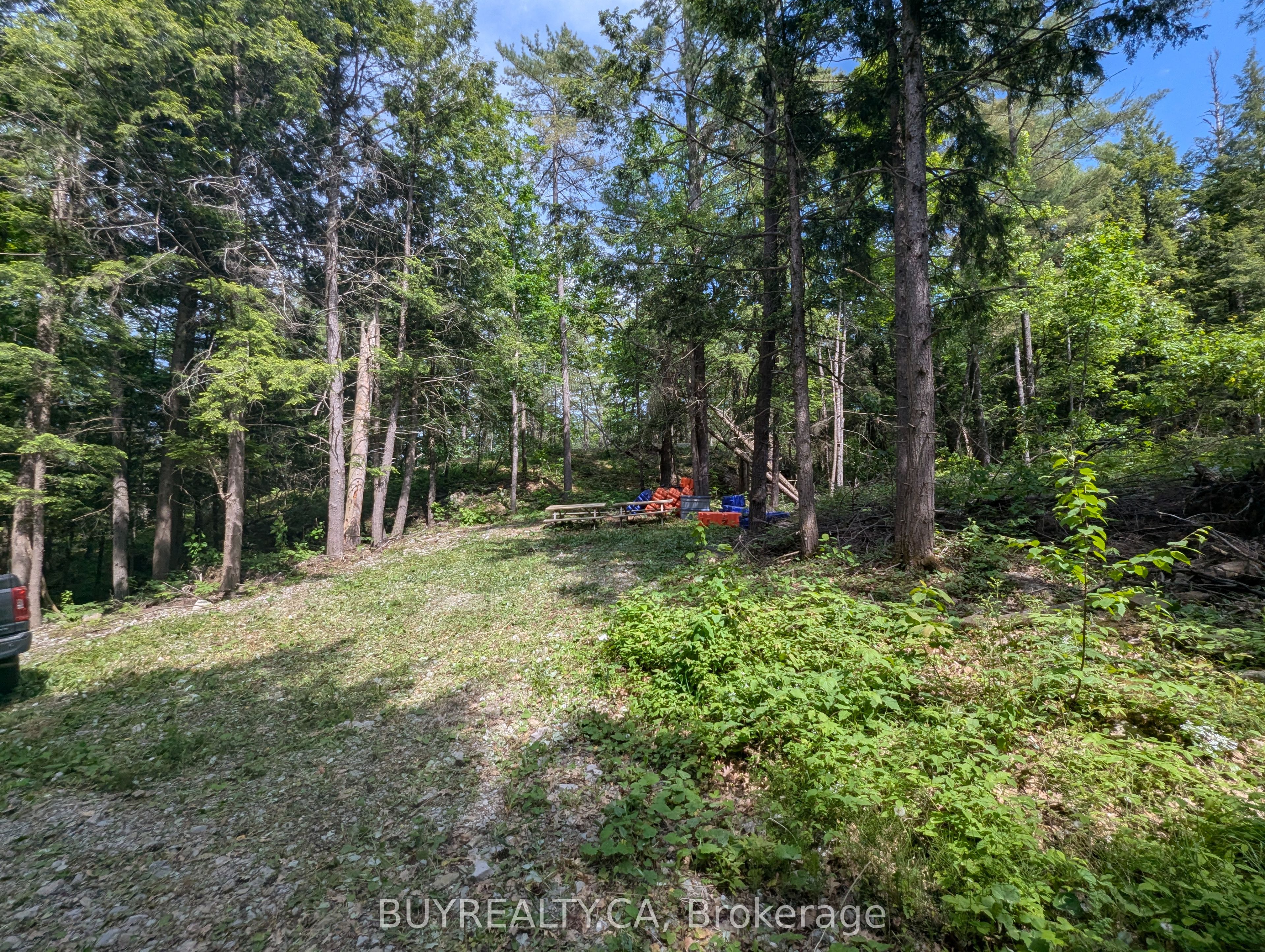2318 Sherwood Forest Lane Property Photo 8
