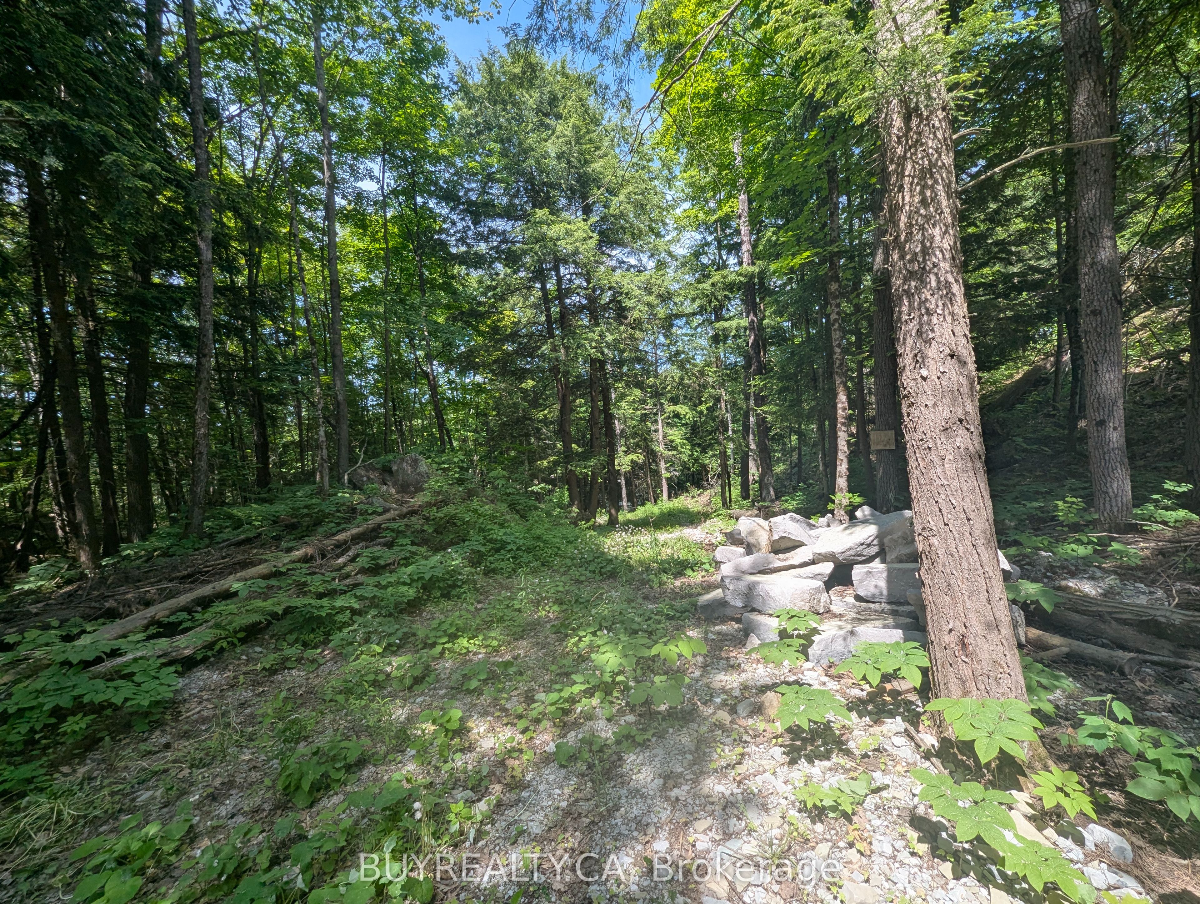 2318 Sherwood Forest Lane Property Photo 11