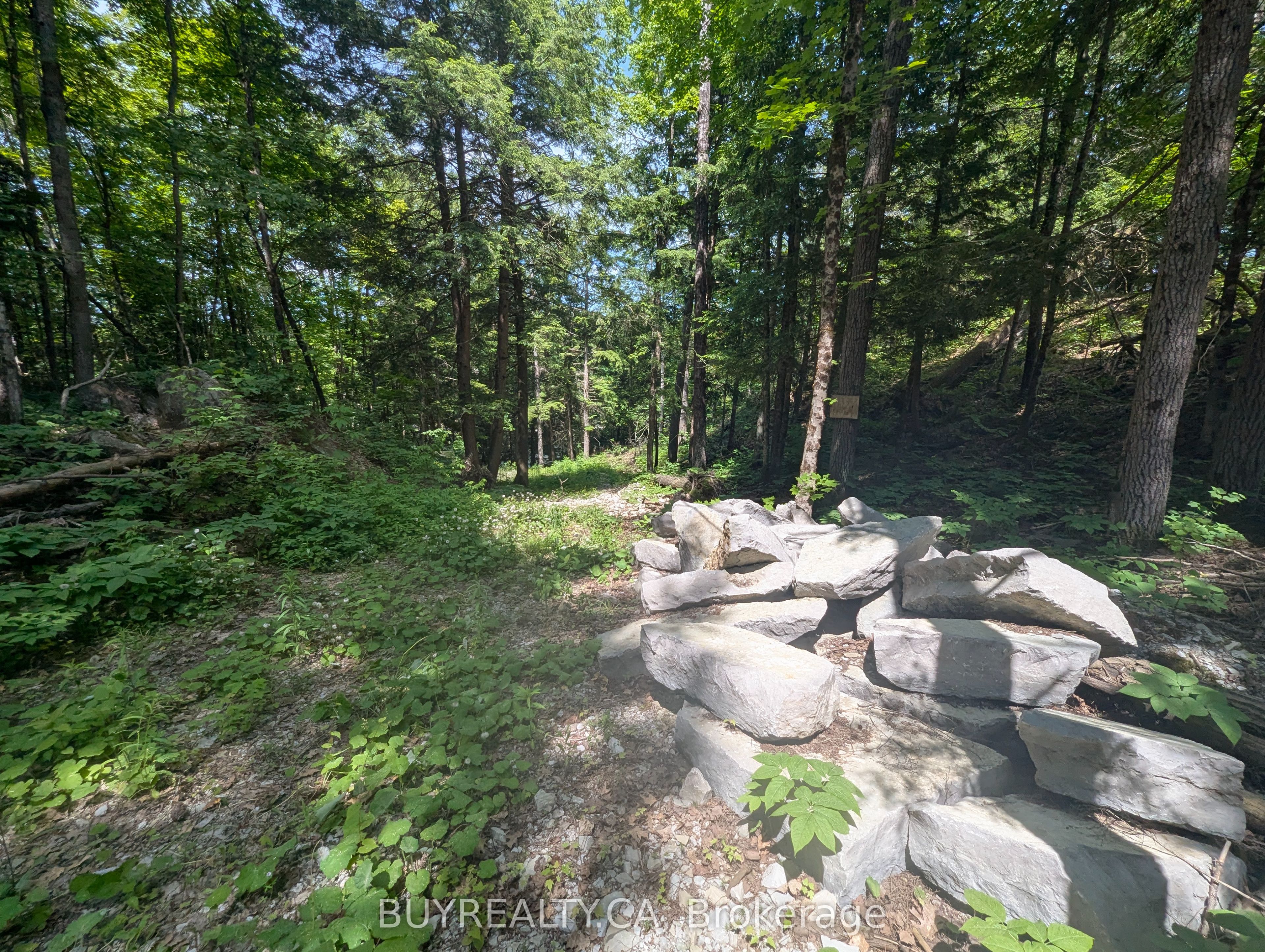 2318 Sherwood Forest Lane Property Photo 12