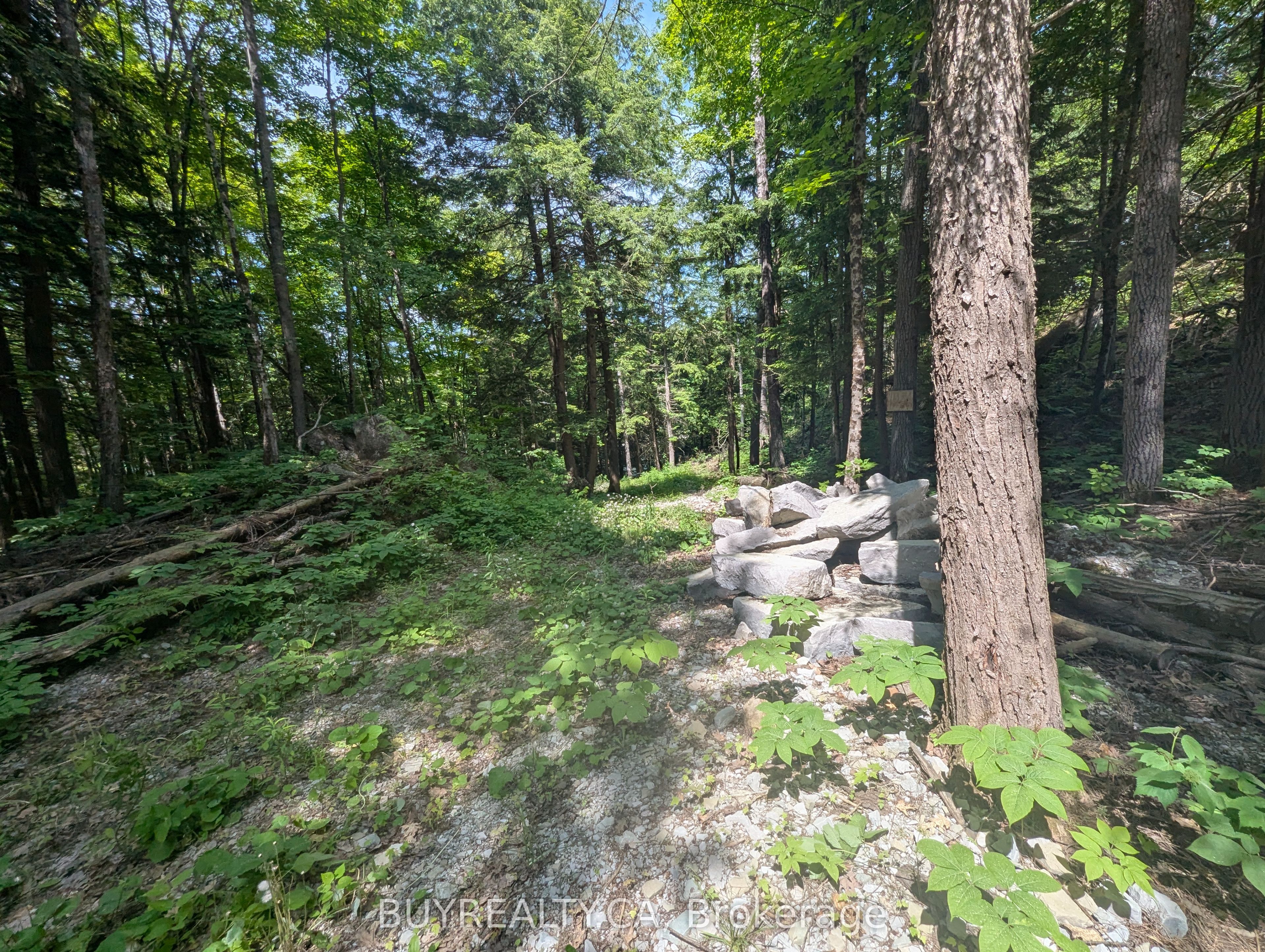2318 Sherwood Forest Lane Property Photo 13