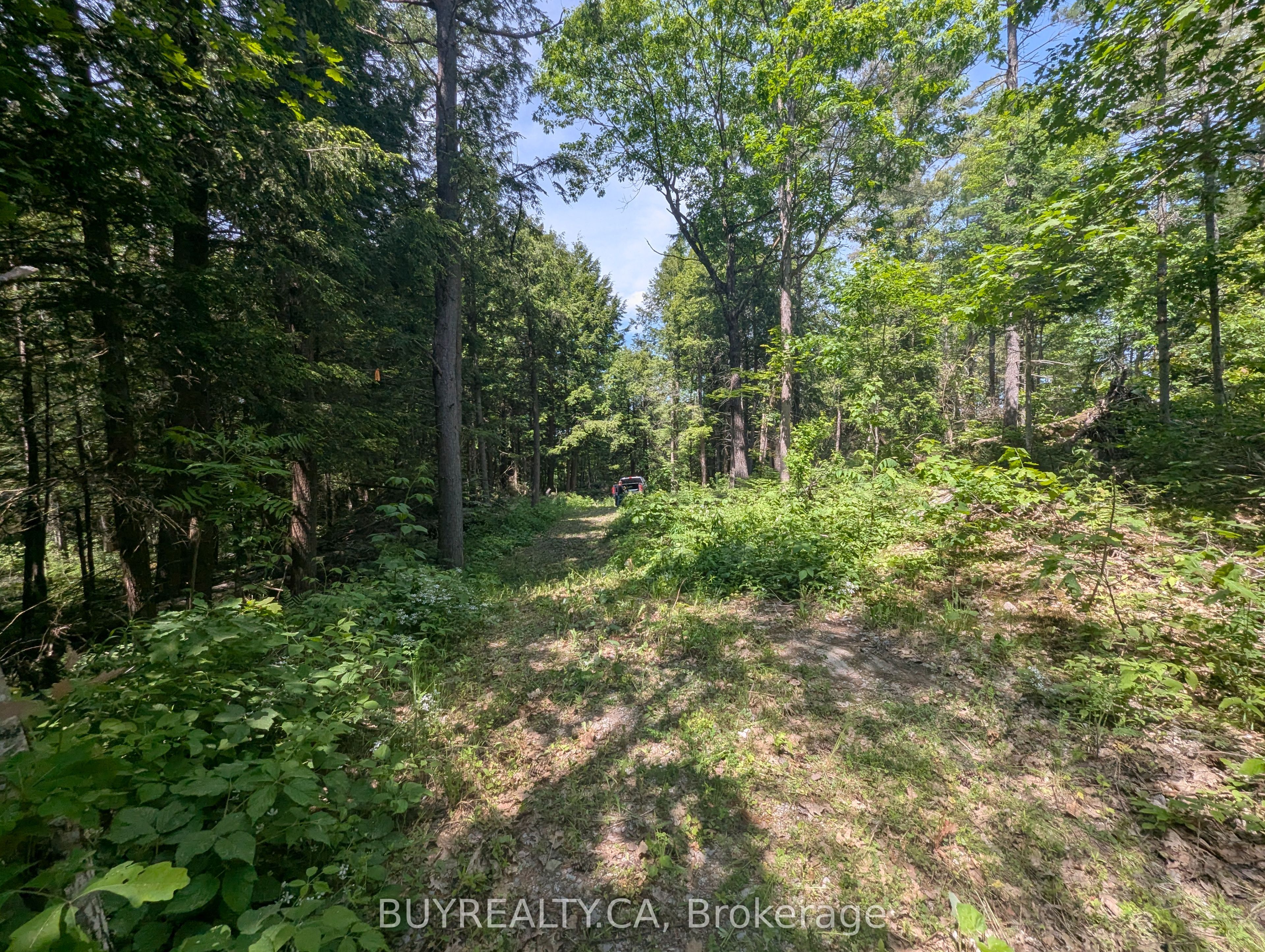2318 Sherwood Forest Lane Property Photo 14