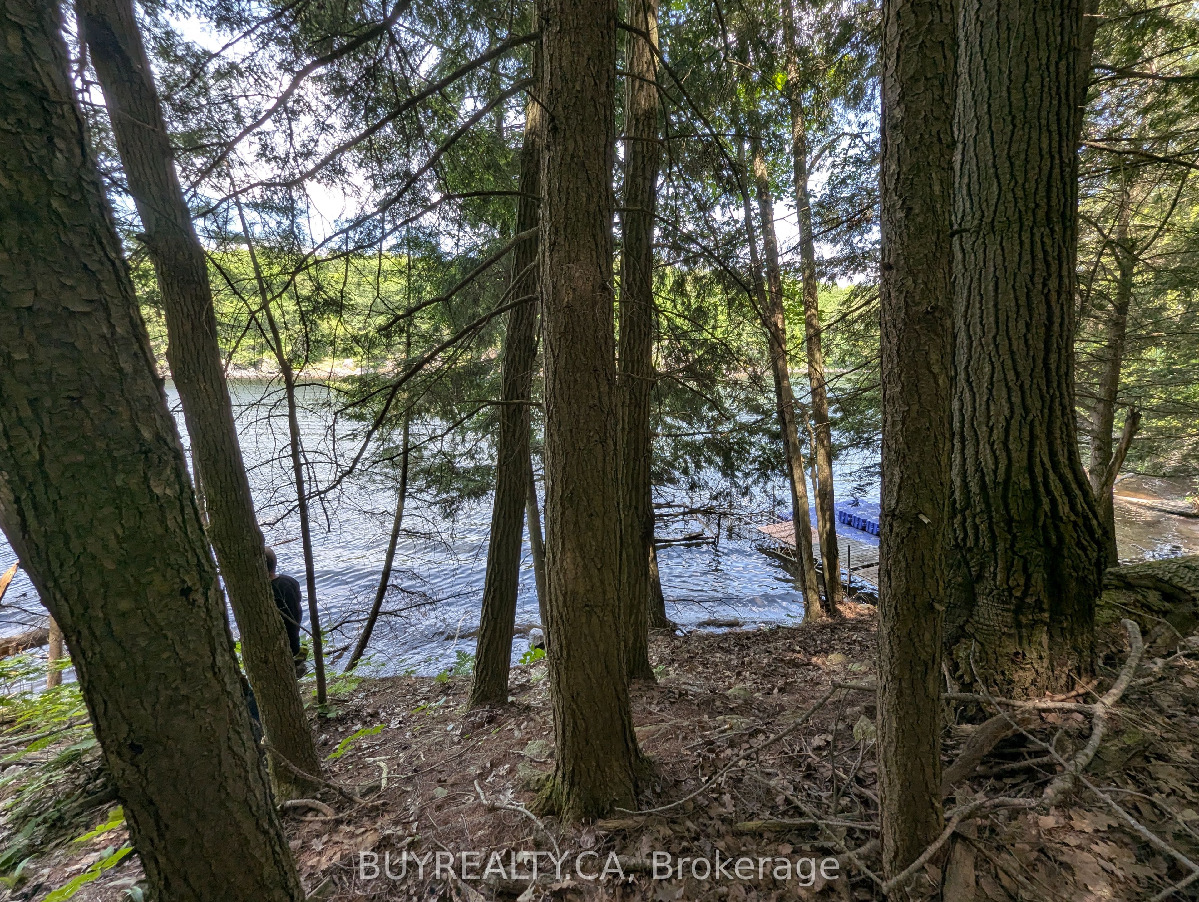 2318 Sherwood Forest Lane Property Photo 17