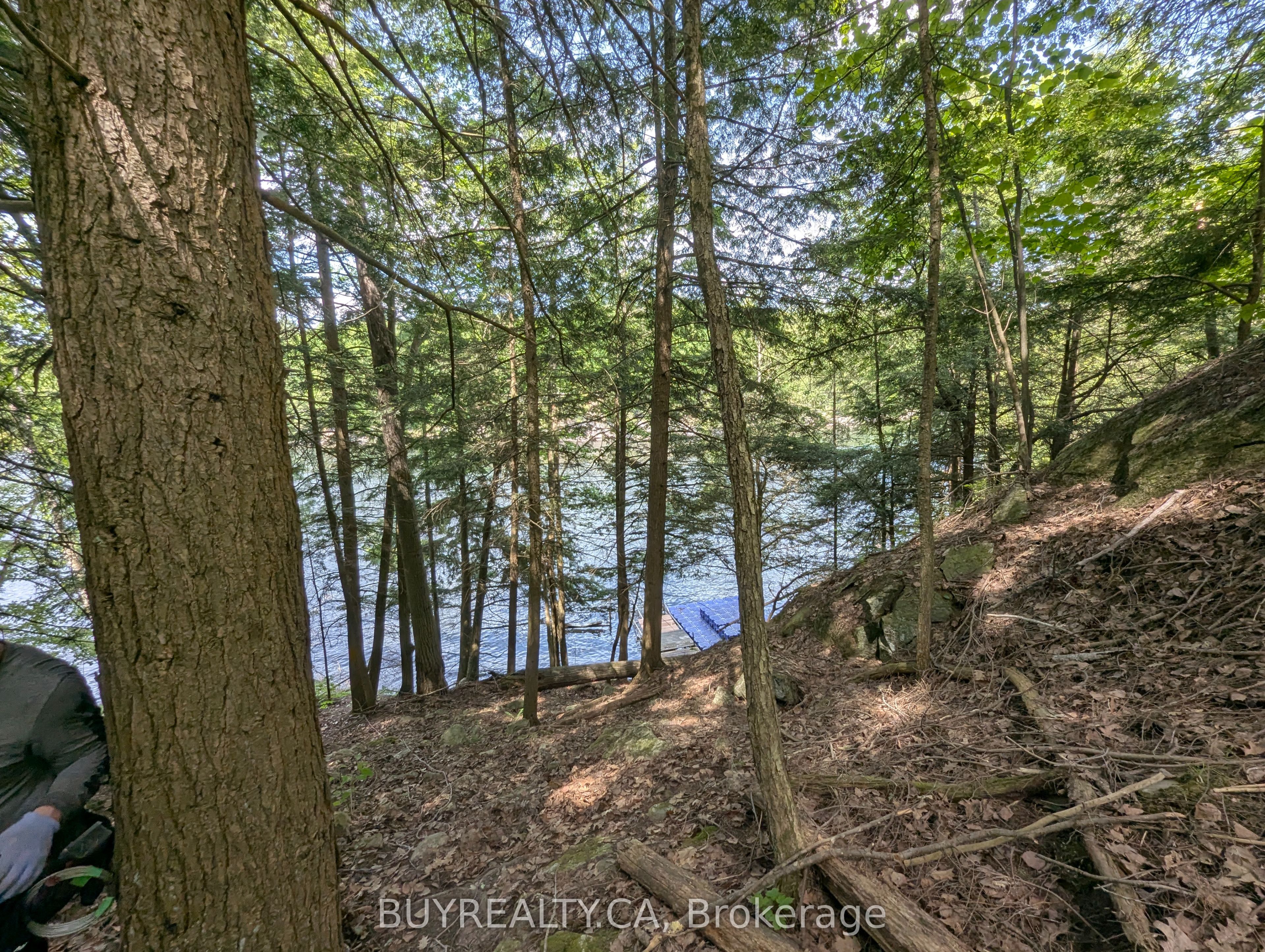 2318 Sherwood Forest Lane Property Photo 18