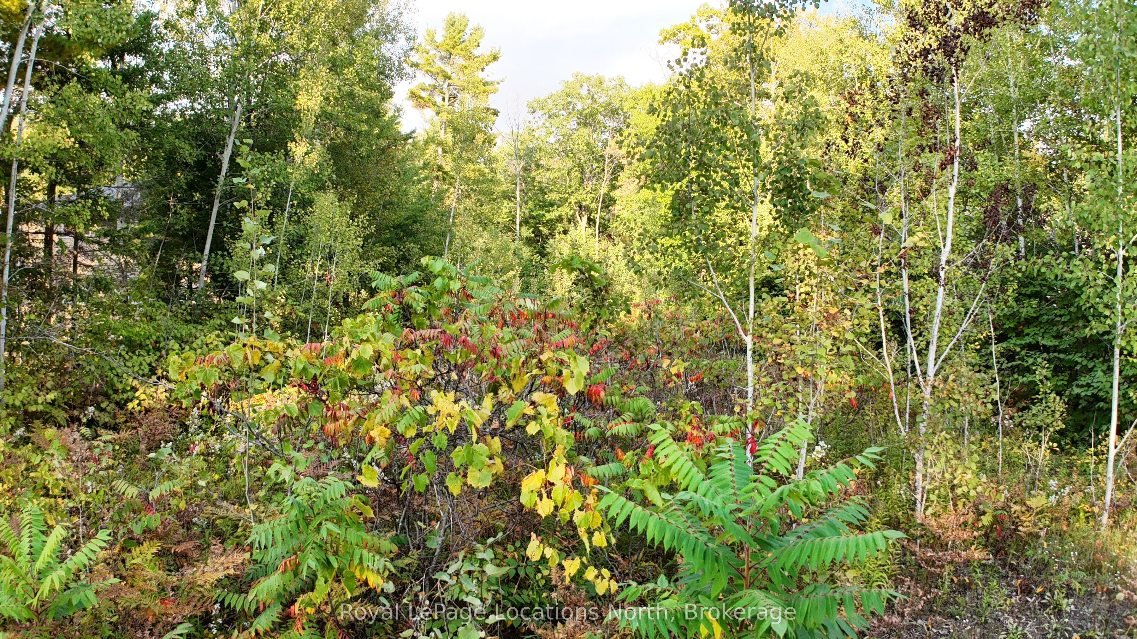 Lot 17 Ronald Avenue Property Photo 10