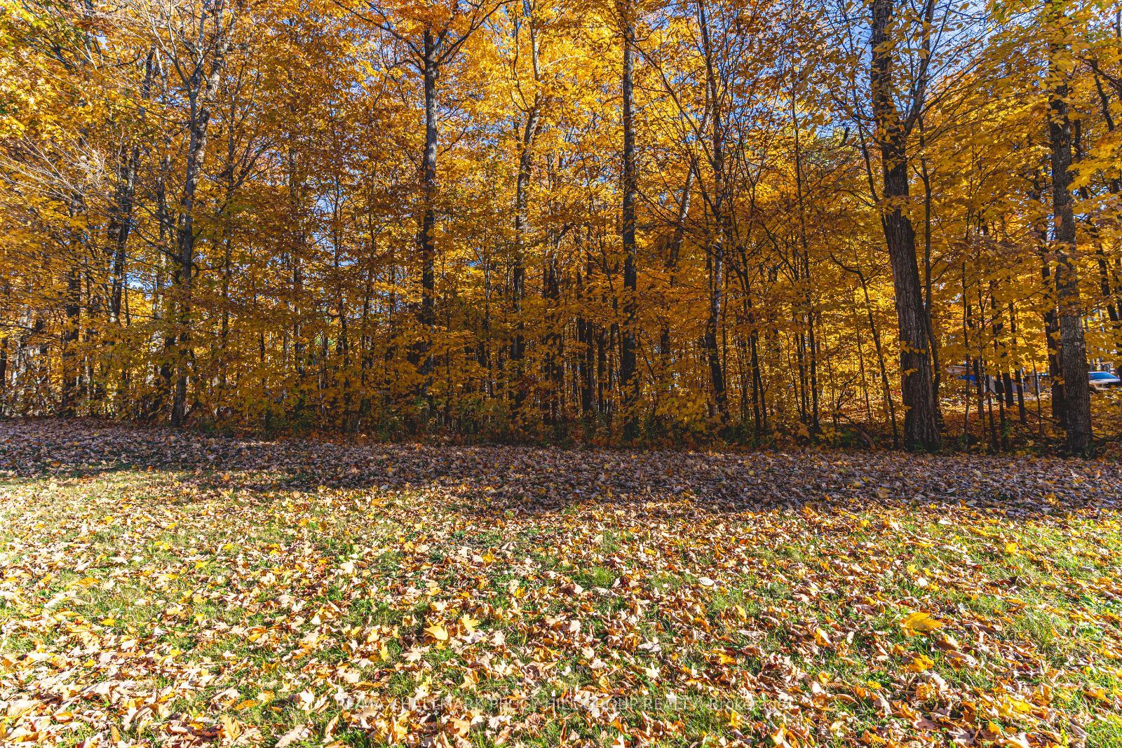 17 Maple Ridge Road Property Photo 3