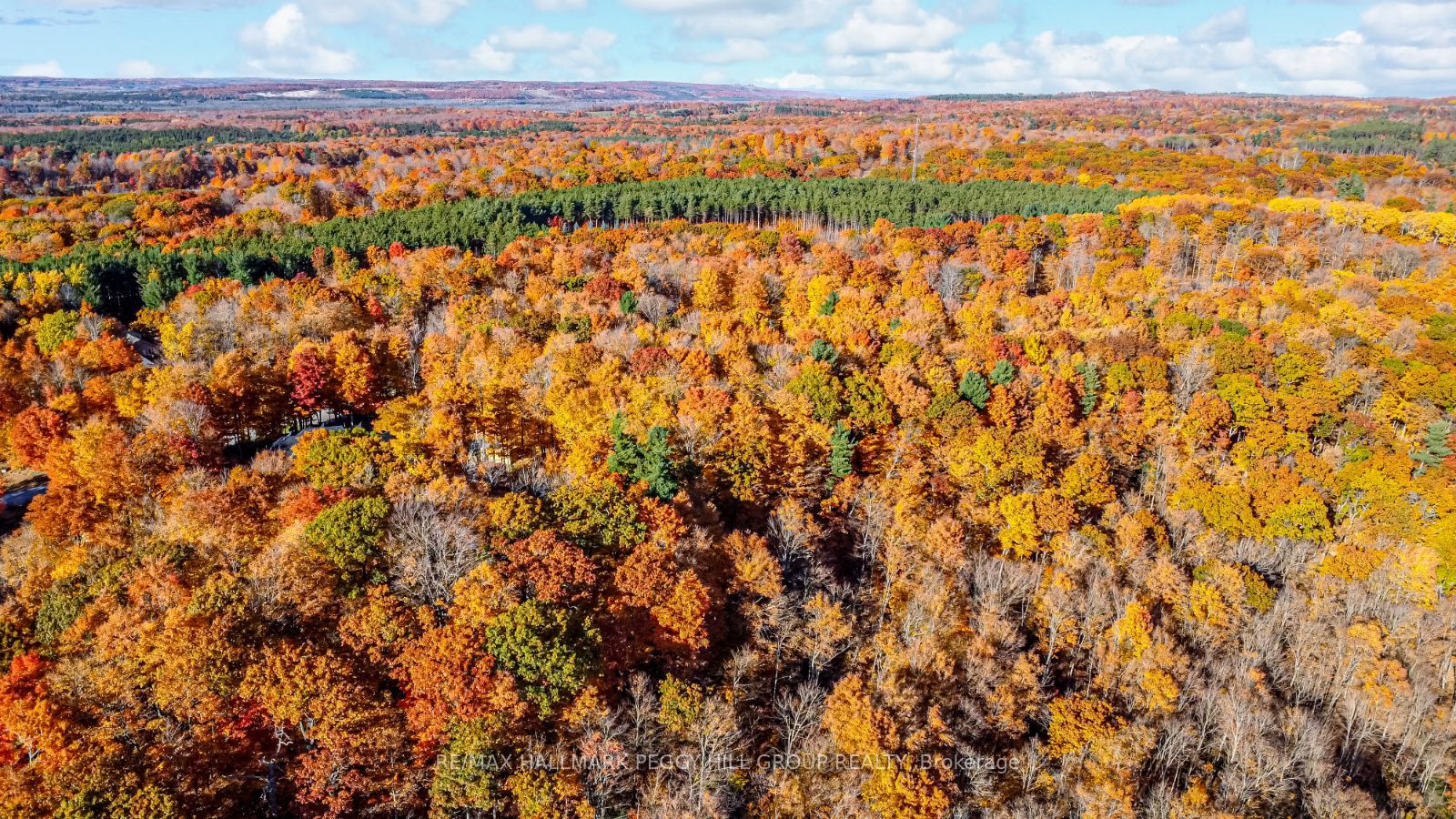 17 Maple Ridge Road Property Photo 6