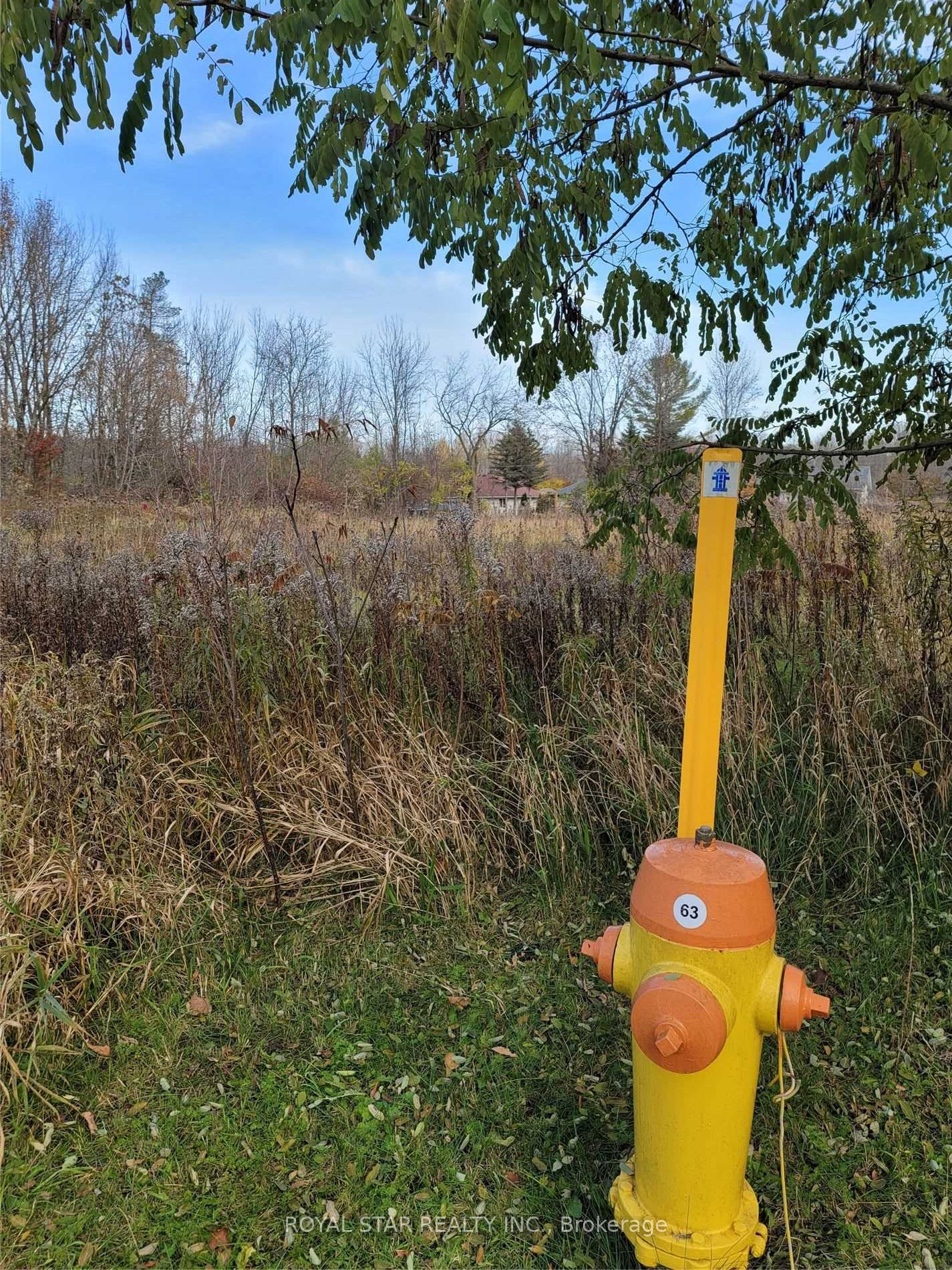 Lot #4 John Street Property Photo 6