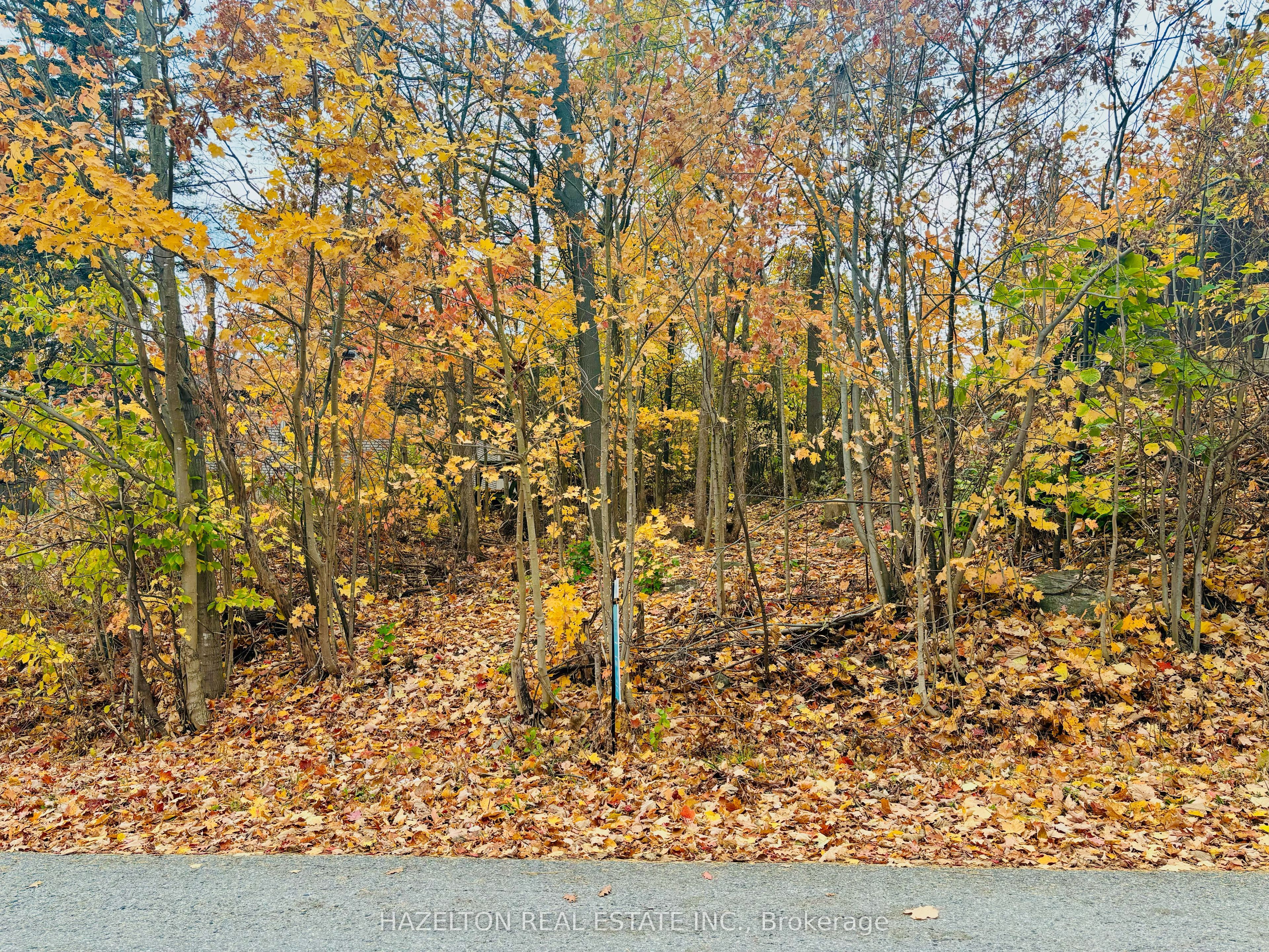 554 Barnes Ave Property Photo 1