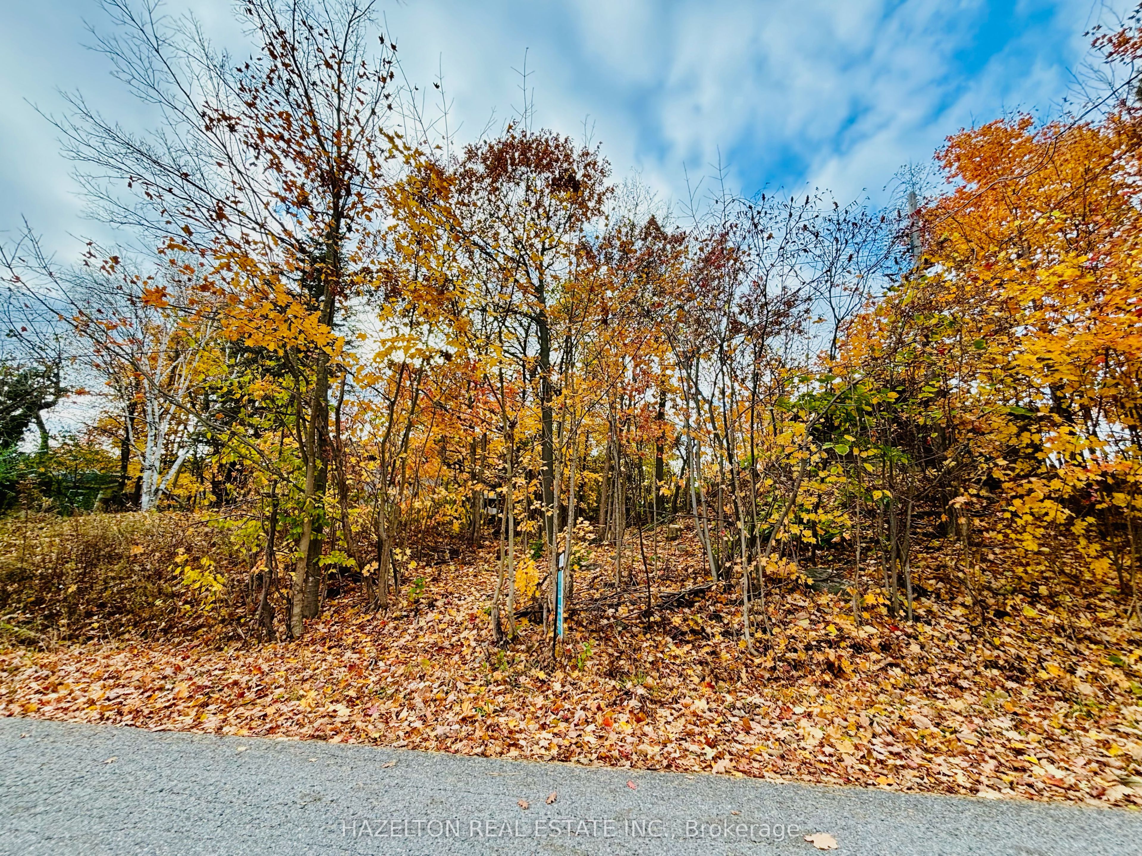 554 Barnes Ave Property Photo 2