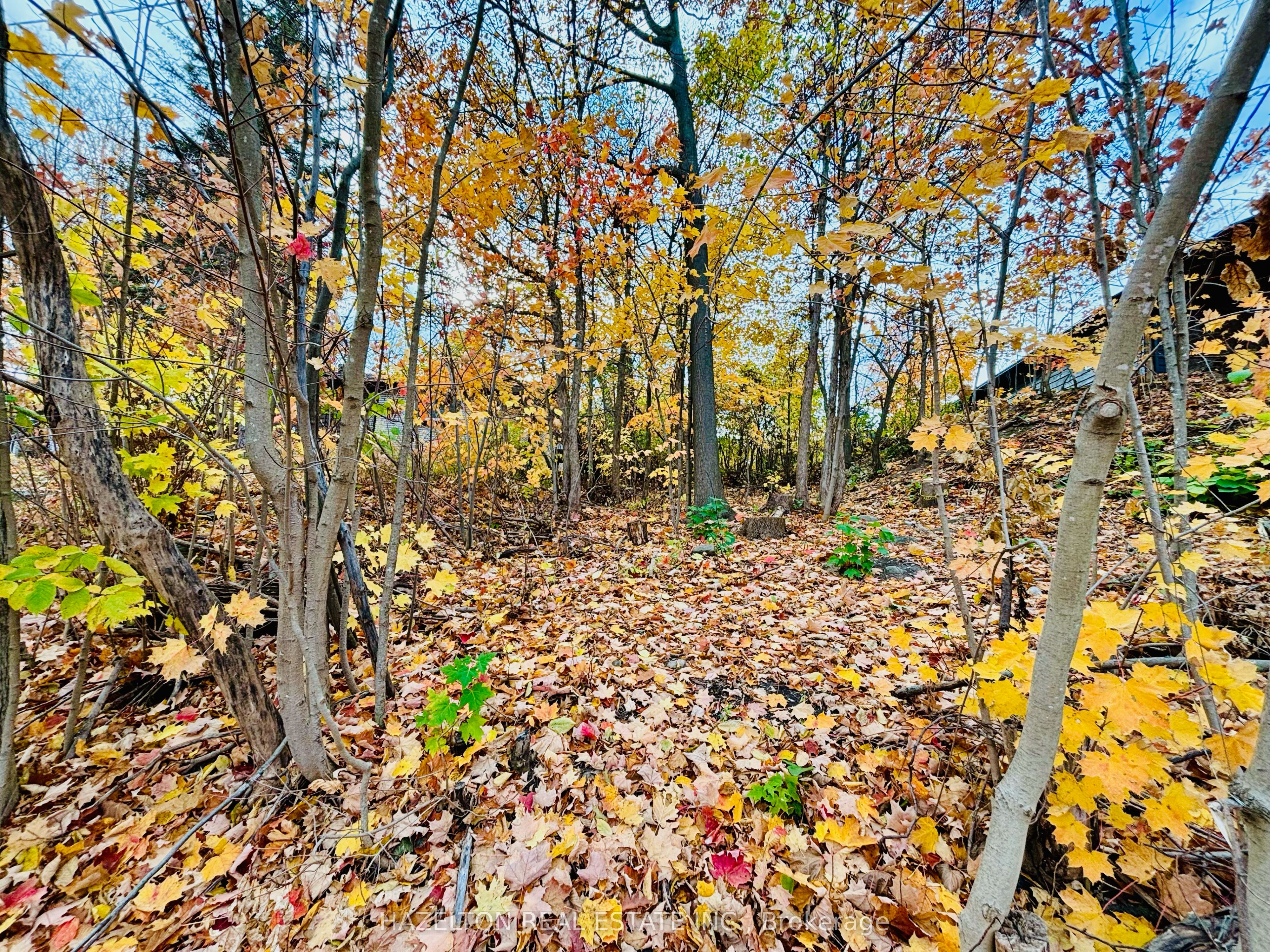 554 Barnes Ave Property Photo 3