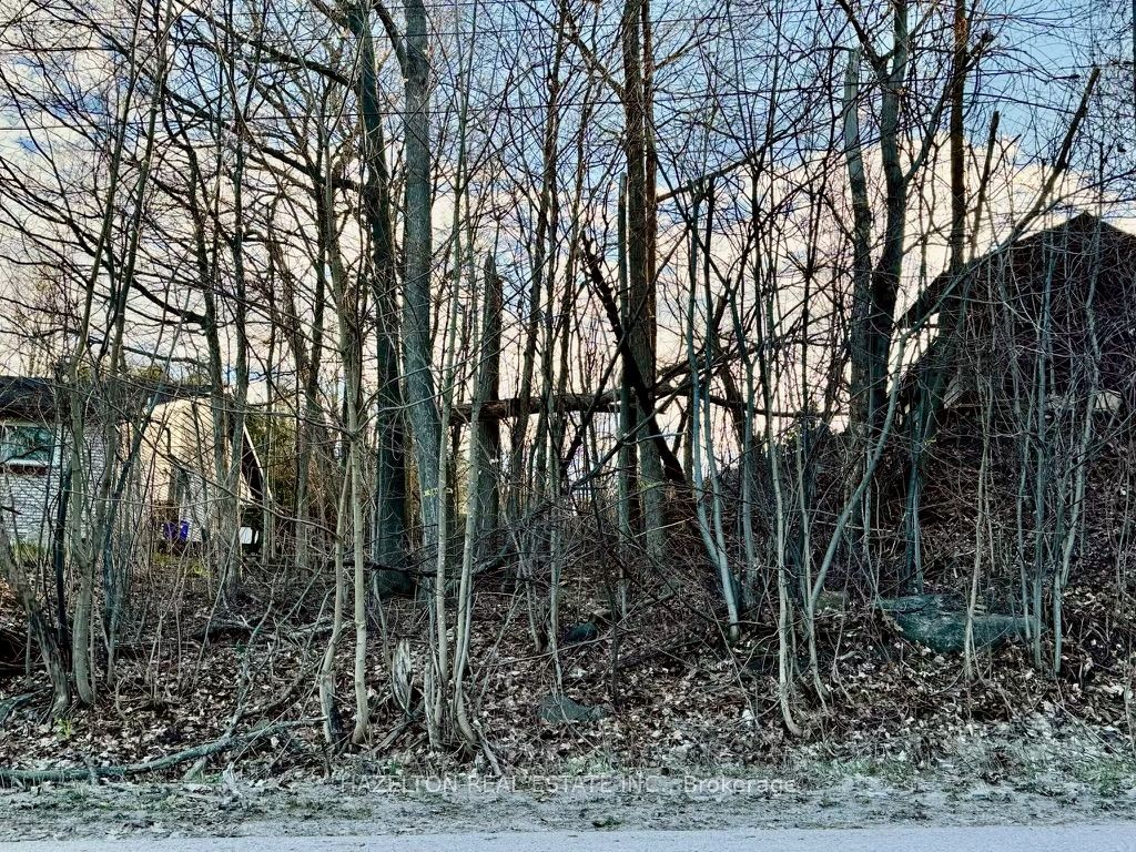 554 Barnes Ave Property Photo 6