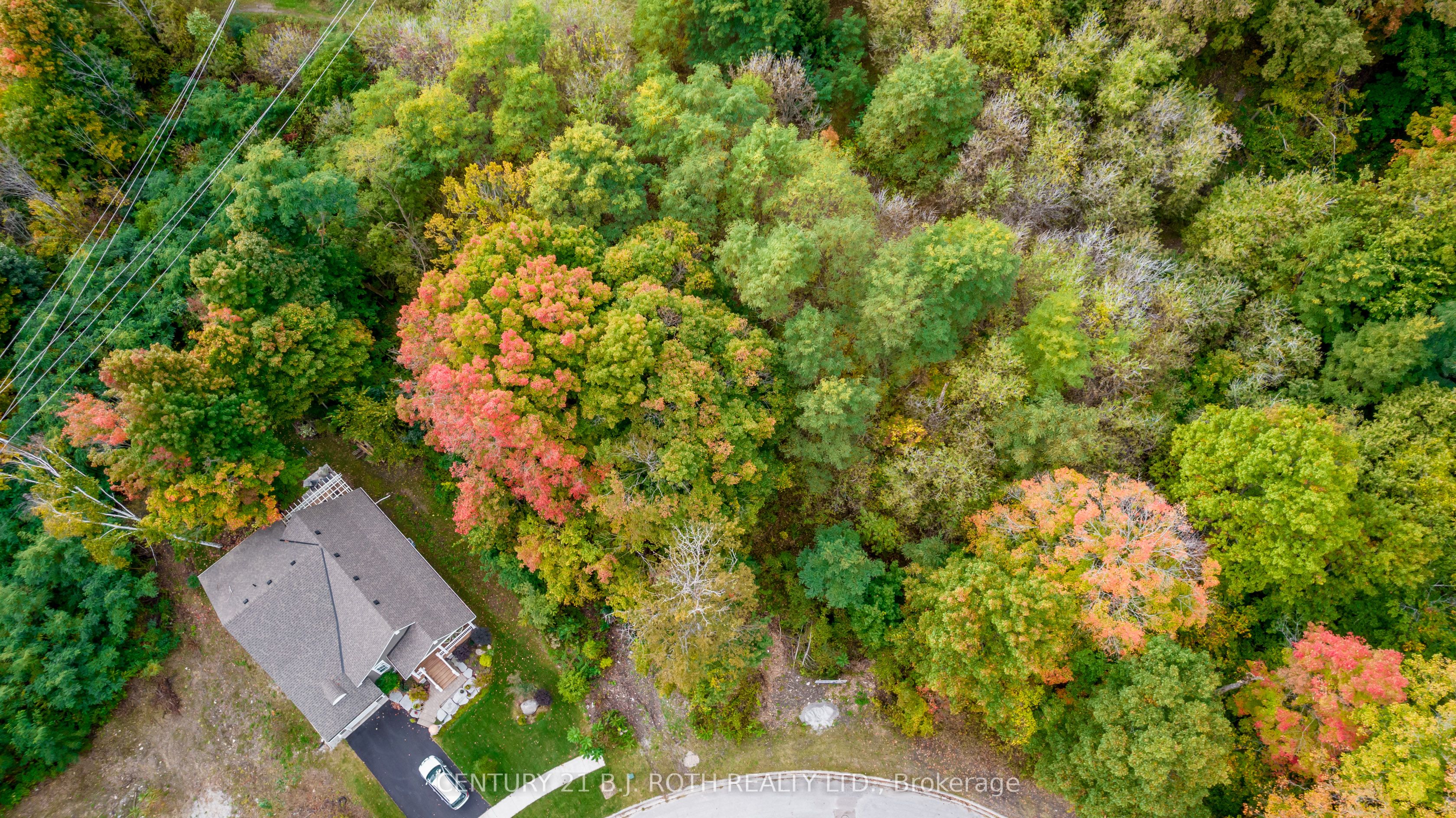 548 Taylor Dr Property Photo 5