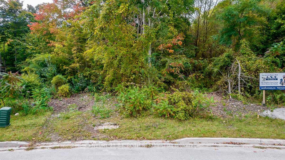 548 Taylor Dr Property Photo 6