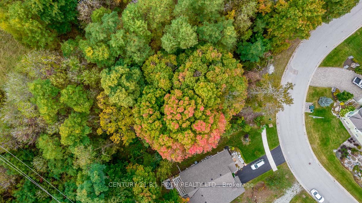 548 Taylor Dr Property Photo 7