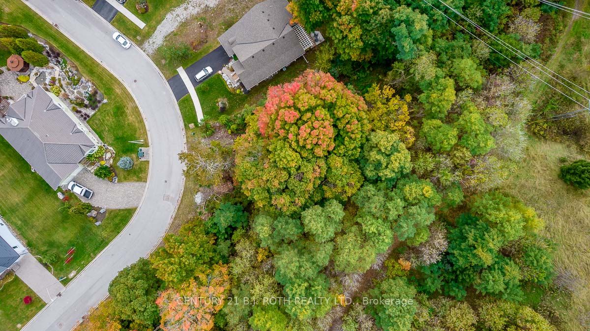 548 Taylor Dr Property Photo 8