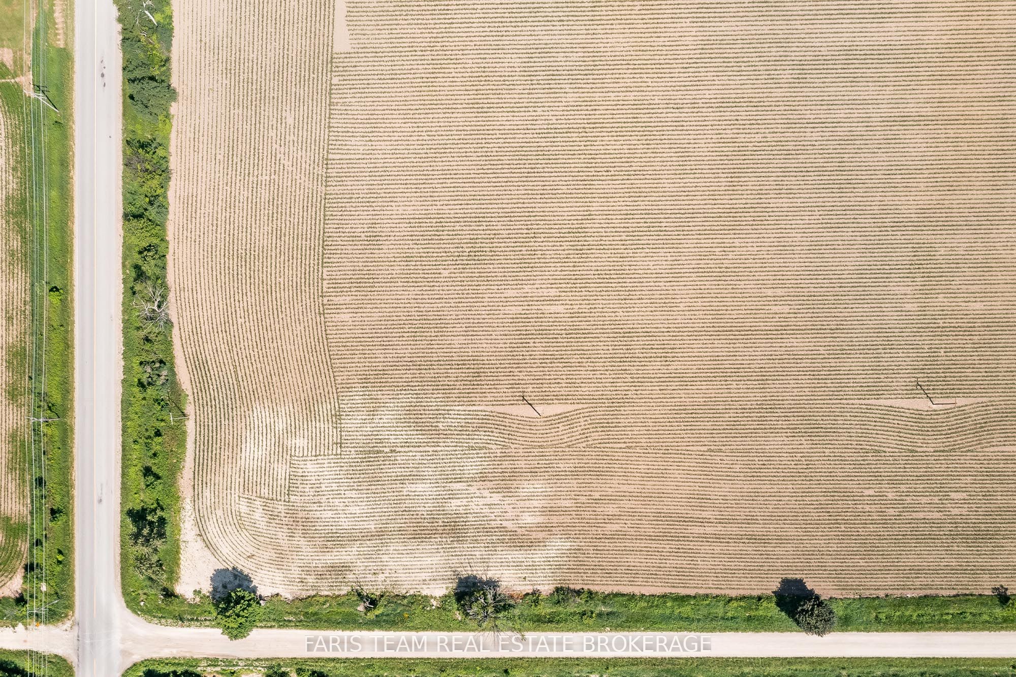 7046 Sideroad 30/31 Nottawasaga N/a Property Photo 3