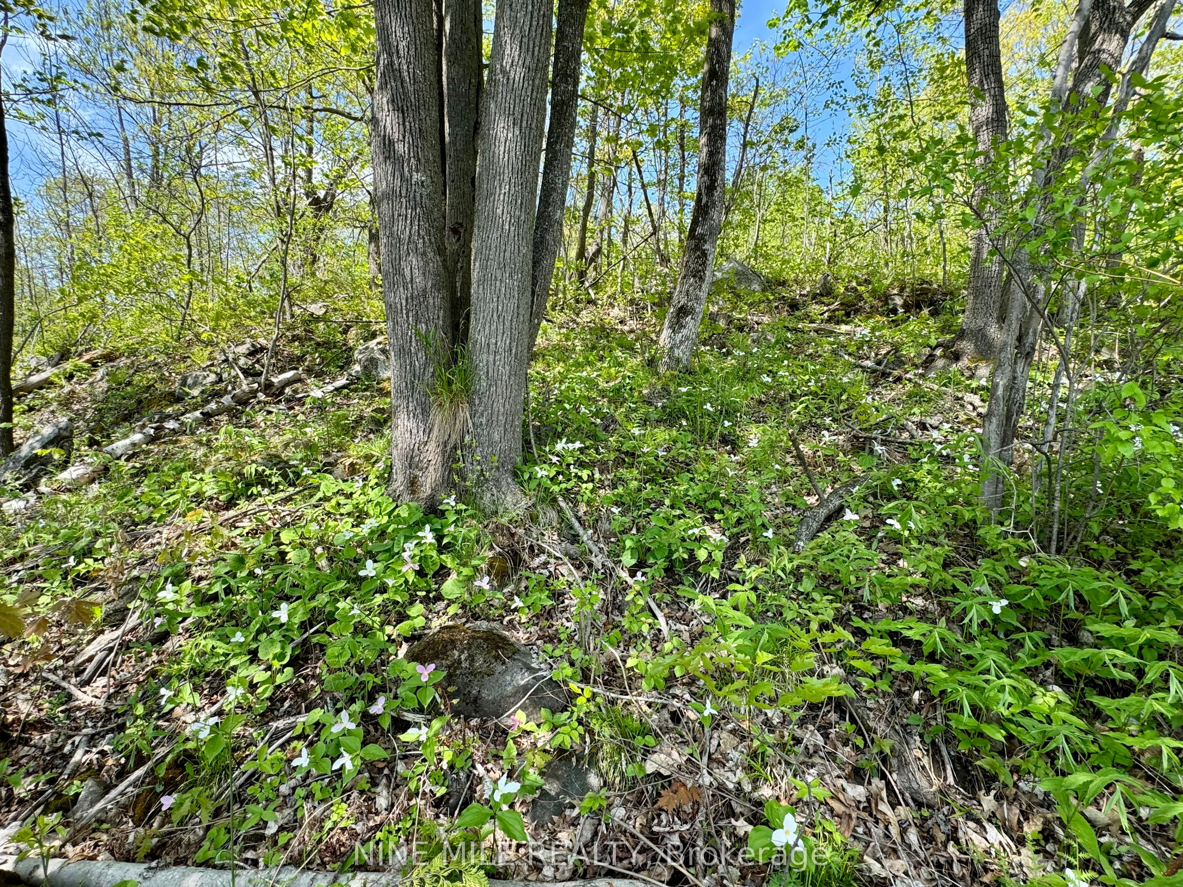 2692 Coopers Falls Rd Property Photo 13