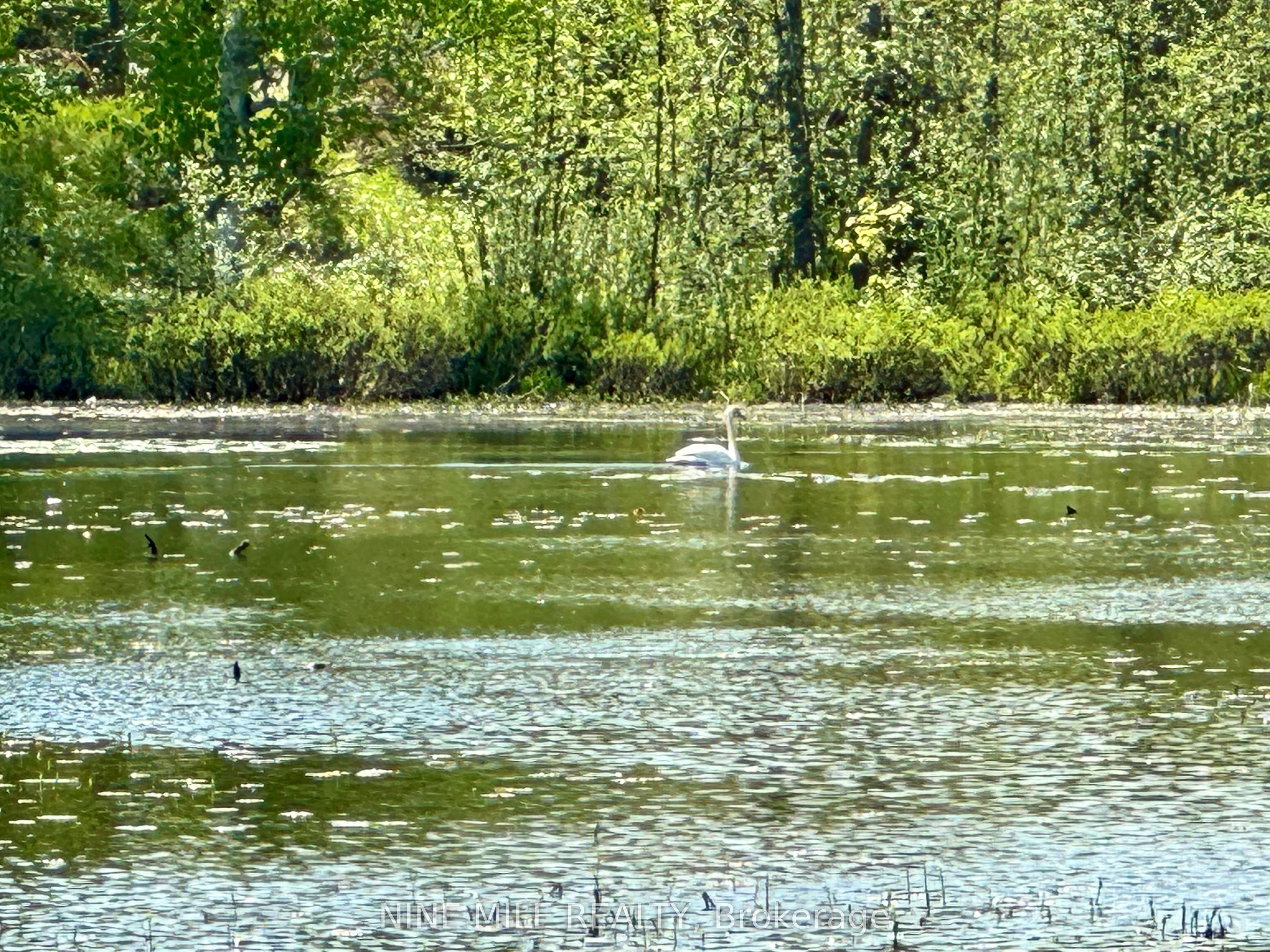 2692 Coopers Falls Rd Property Photo 16