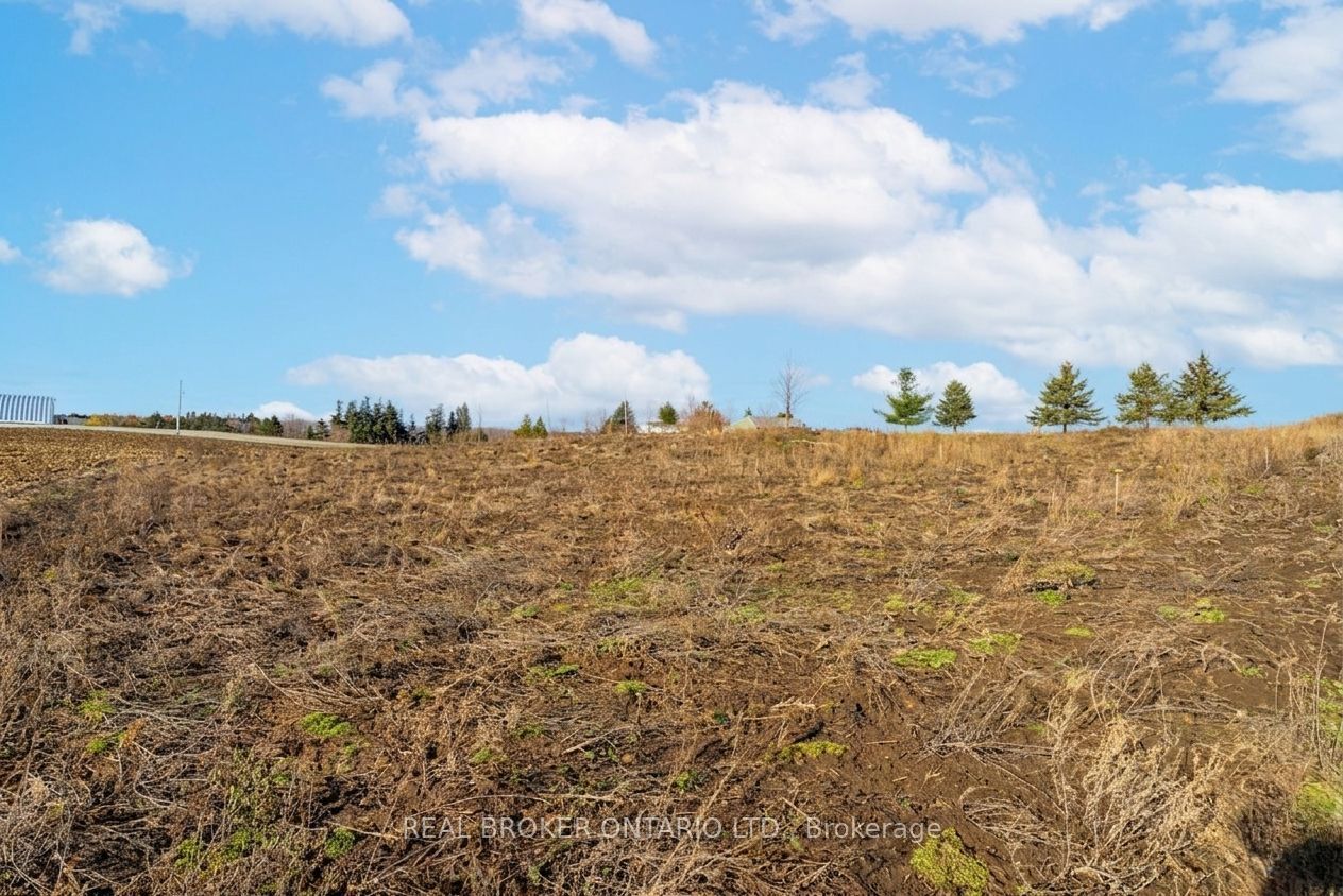 6449 12 13 Side Road Property Photo 21