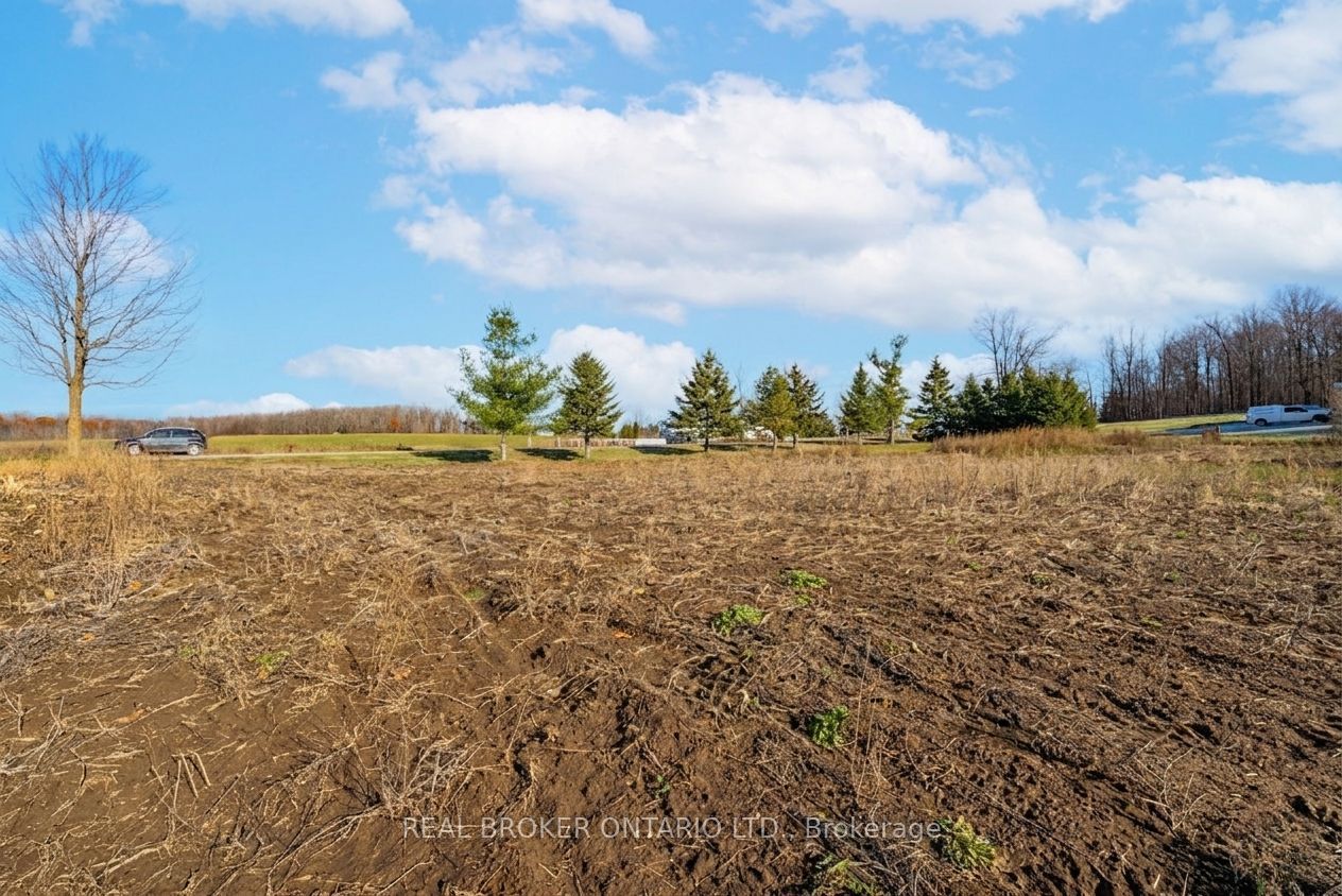 6449 12 13 Side Road Property Photo 22