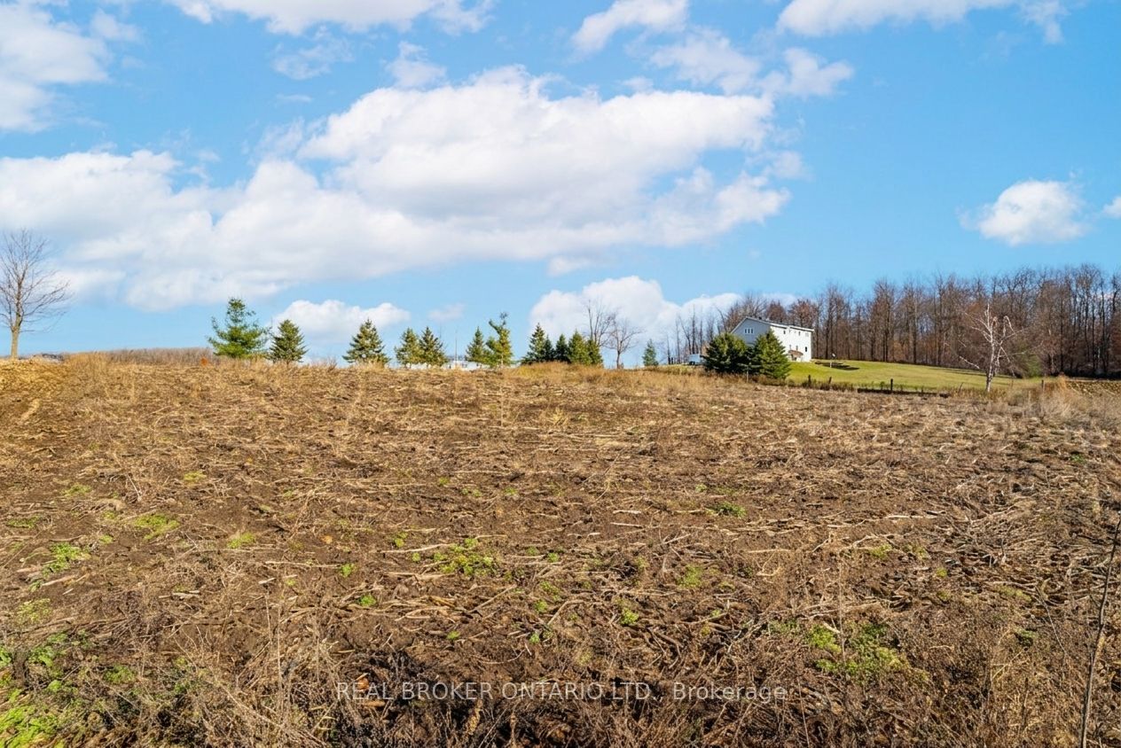 6449 12 13 Side Road Property Photo 23