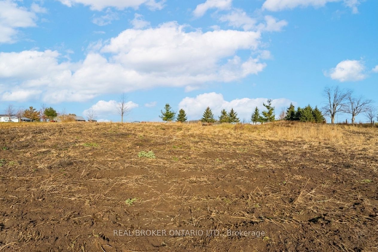 6449 12 13 Side Road Property Photo 25