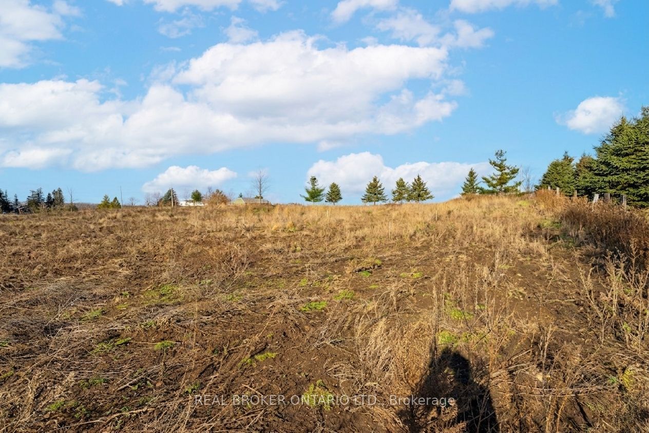 6449 12 13 Side Road Property Photo 26