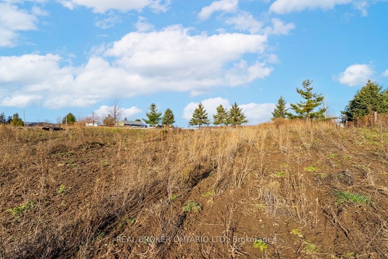 6449 12 13 Side Road Property Photo 27