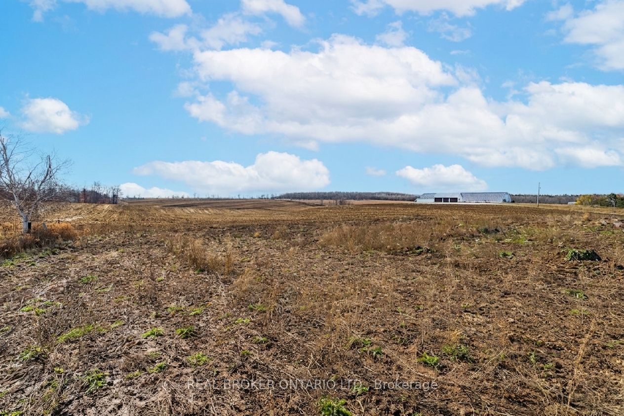 6449 12 13 Side Road Property Photo 28