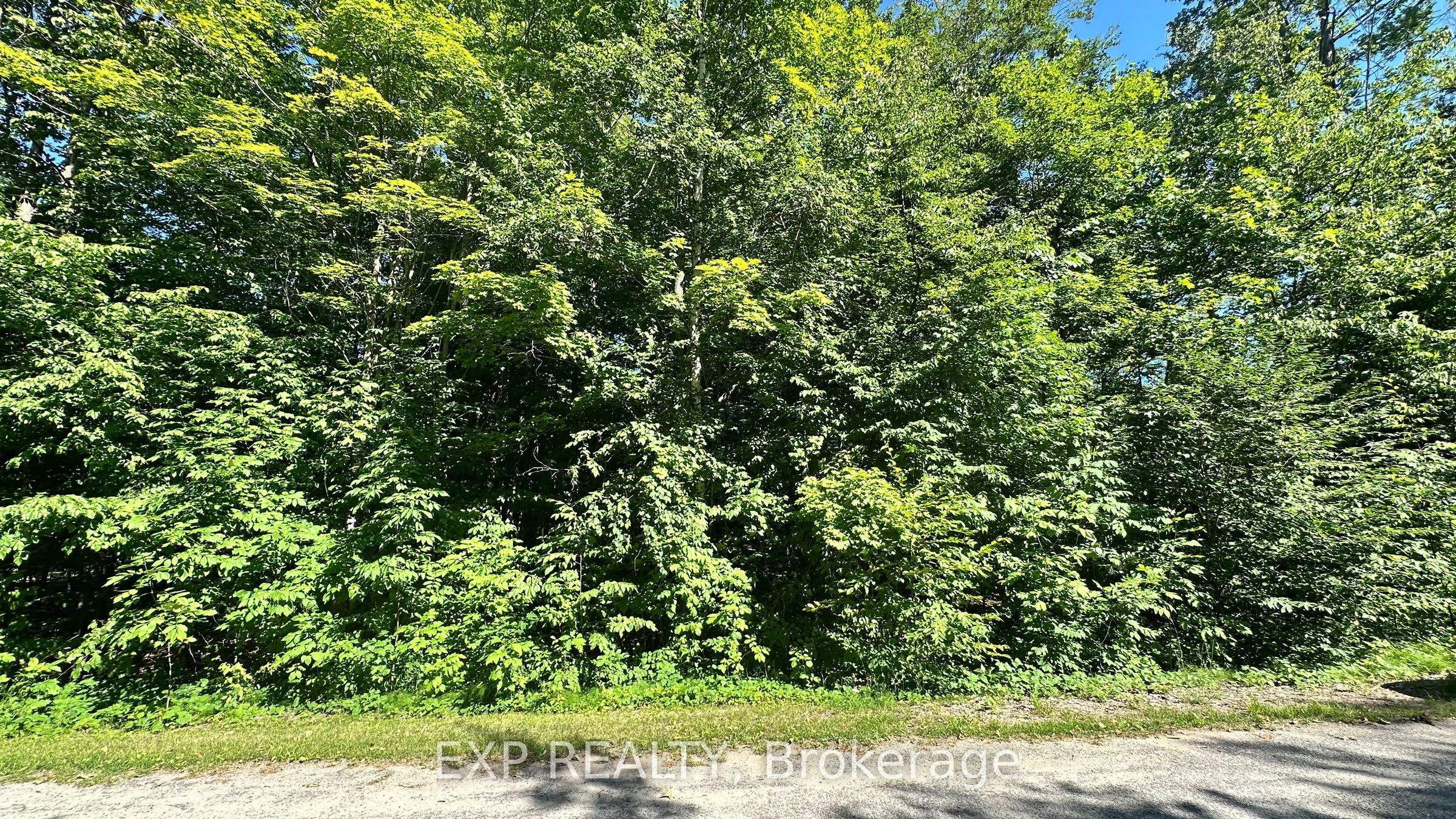 Lot 18 Mulberry Court Property Photo 6