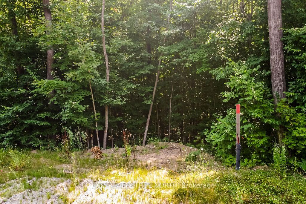 Lt 45 Explorers Landing Property Photo 4