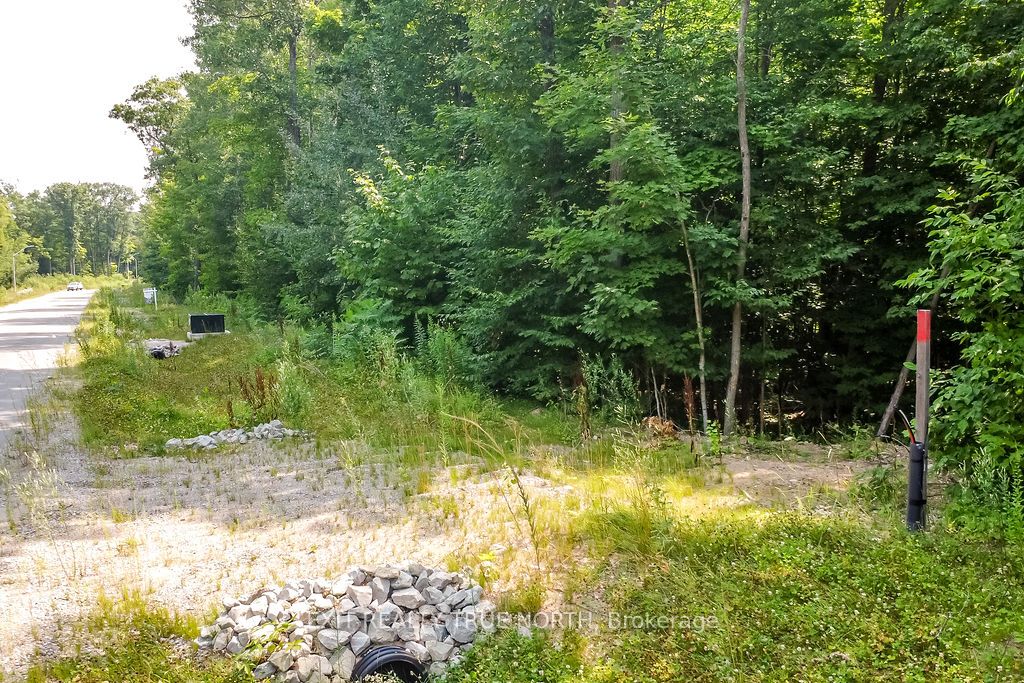 Lt 45 Explorers Landing Property Photo 5