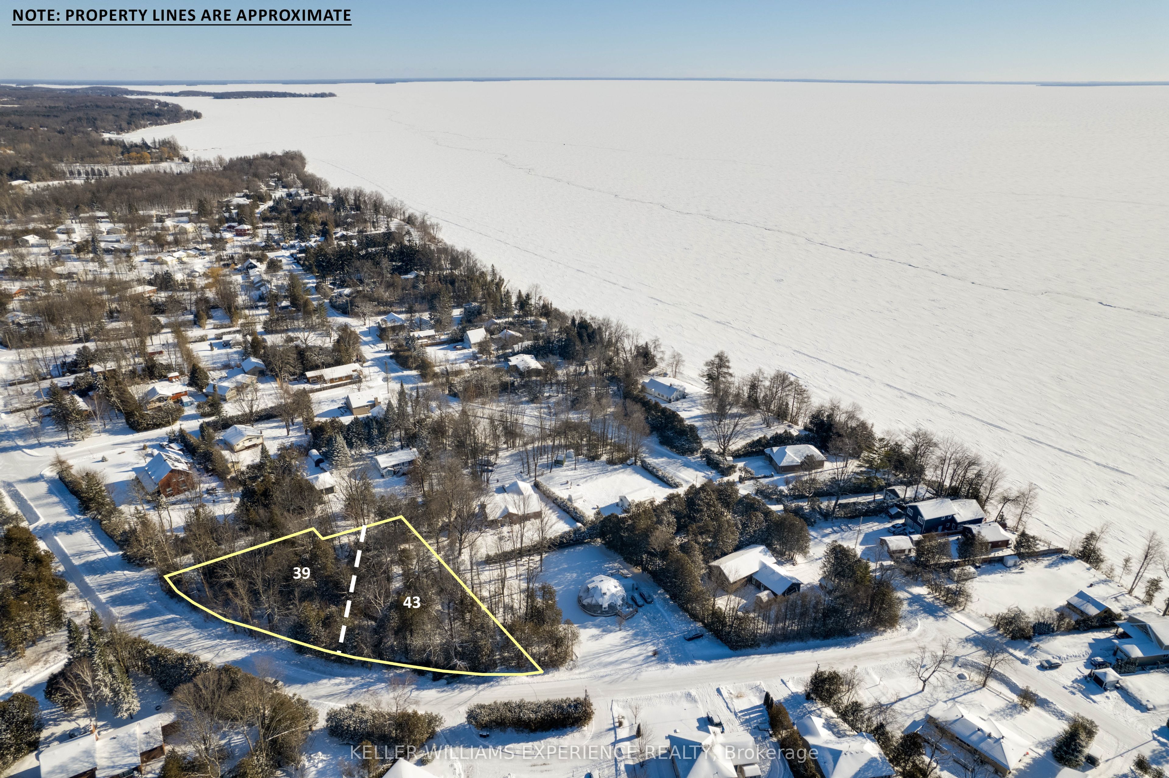 39 & 43 Campbell Avenue Property Photo 1