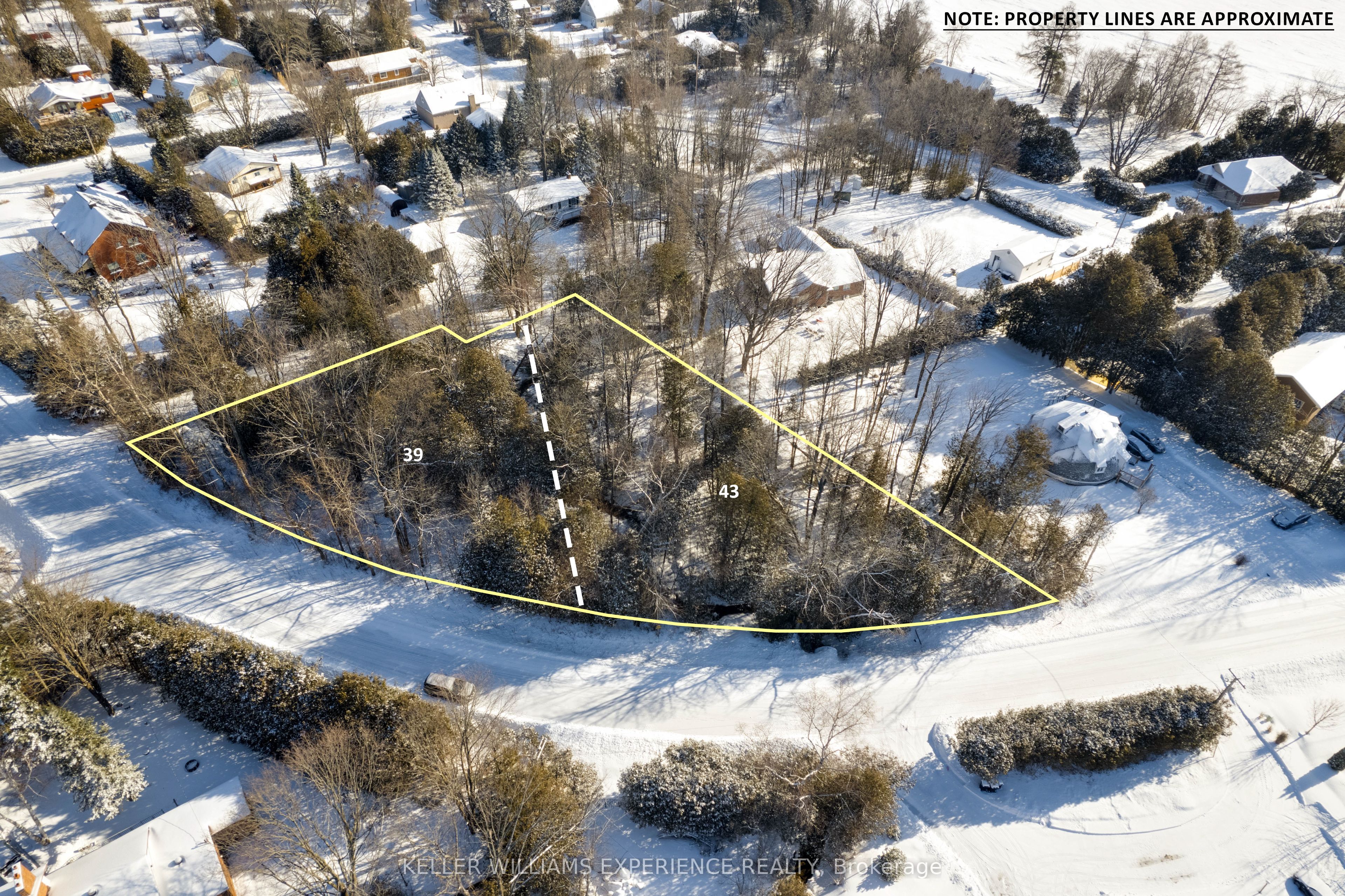 39 & 43 Campbell Avenue Property Photo 2