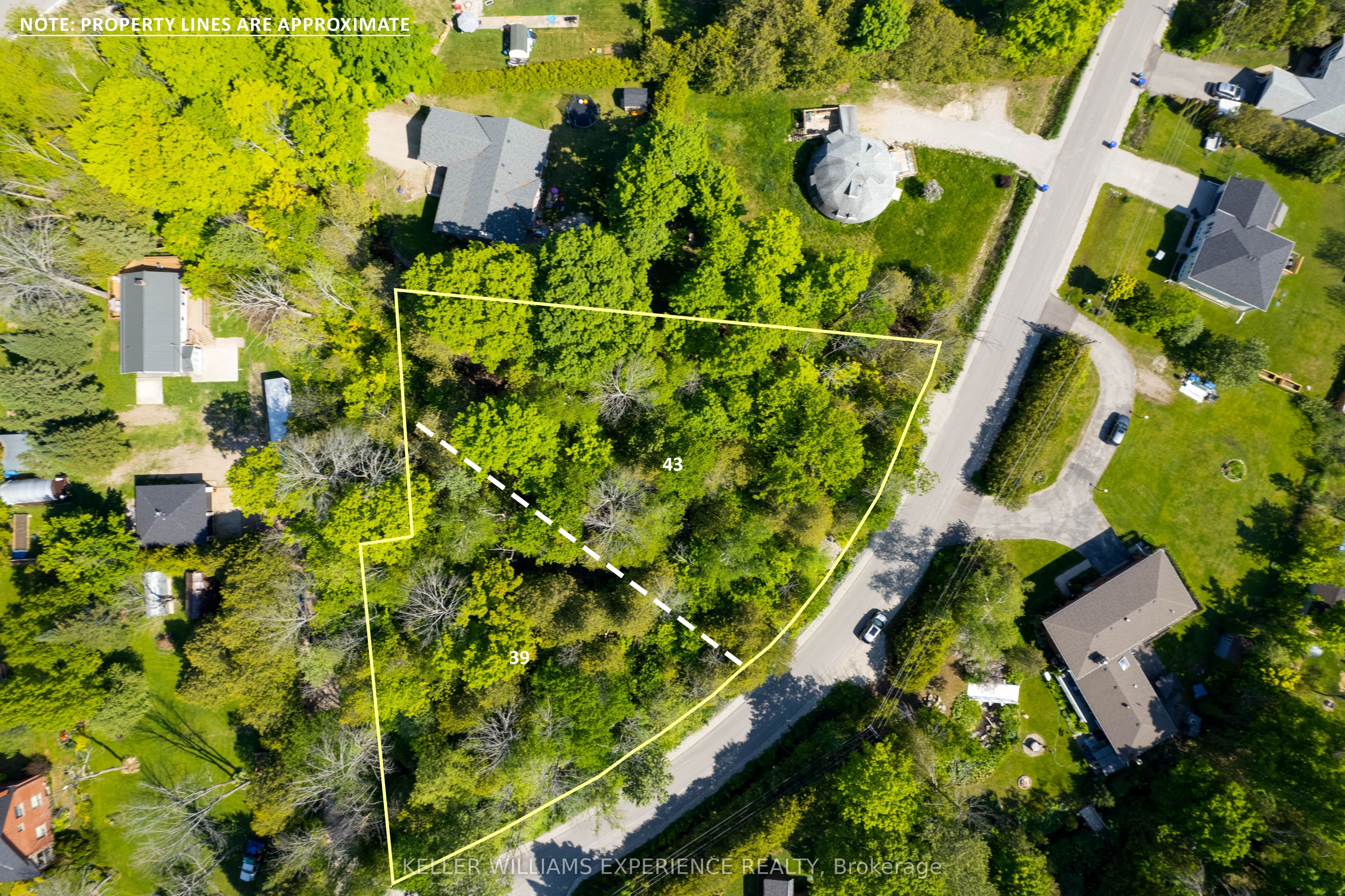 39 & 43 Campbell Avenue Property Photo 6