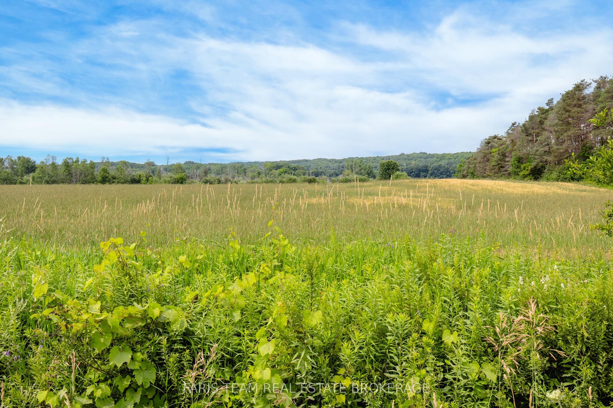 584 Curry Road Property Photo 8