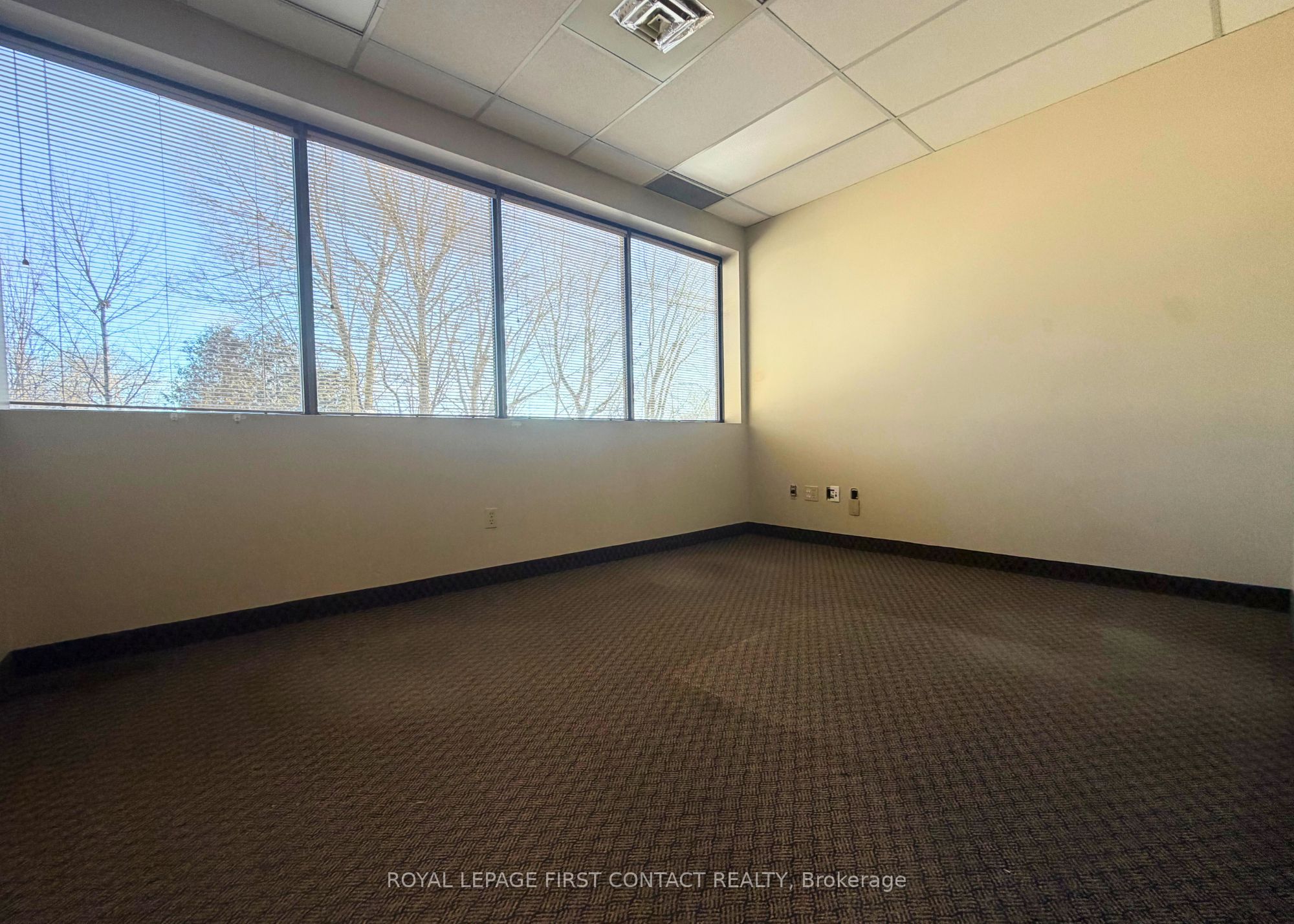 135 Bayfield Street 201 Property Photo 18