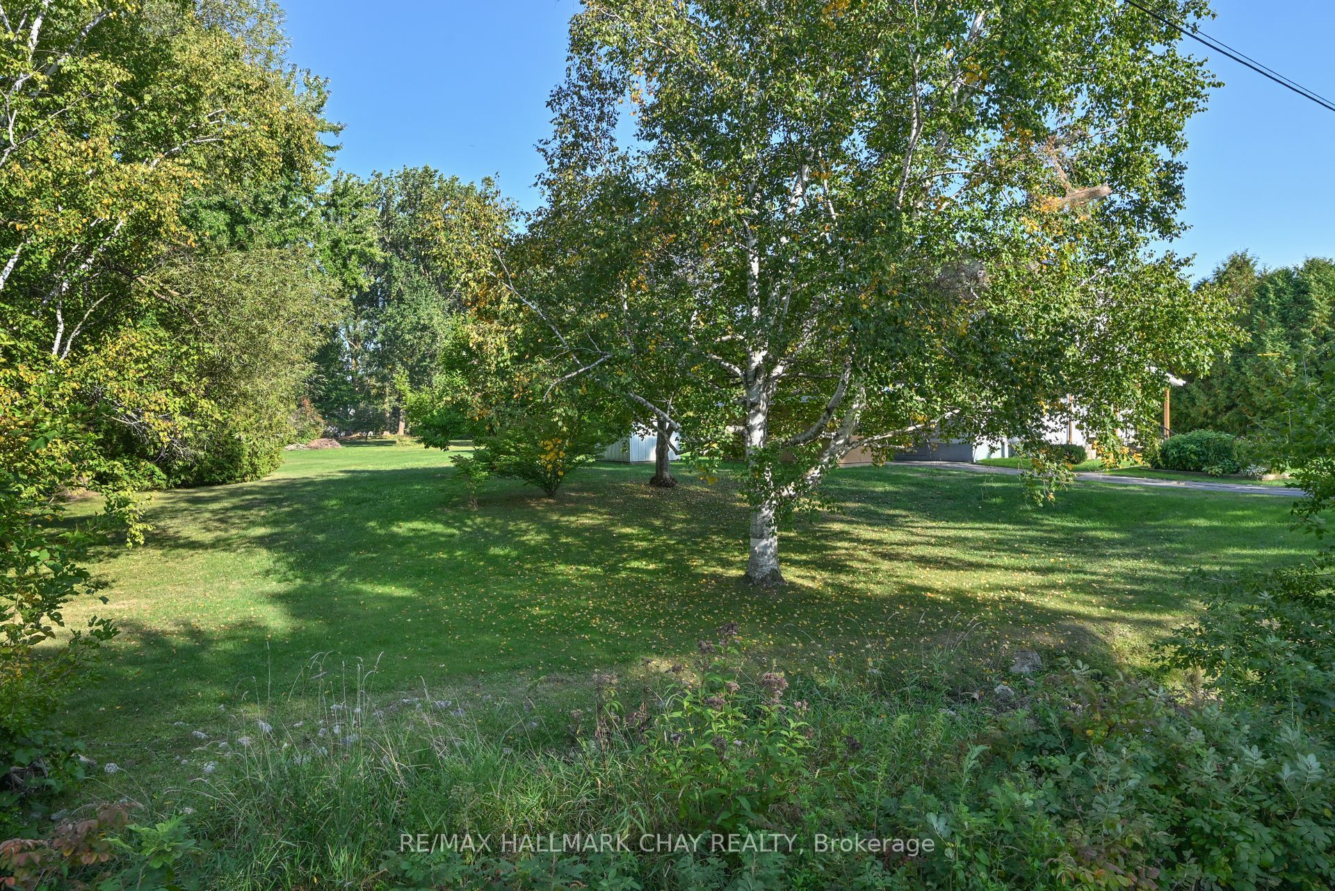 213 Dominion Drive Property Photo 6
