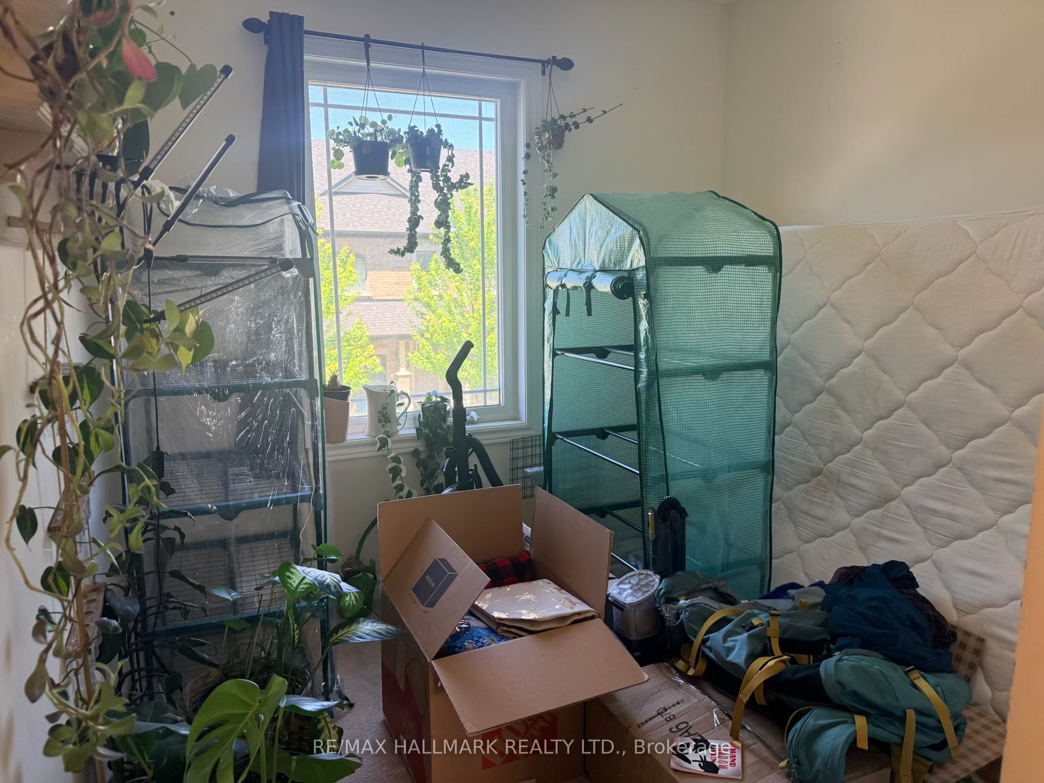 15 Deneb Street Property Photo 10