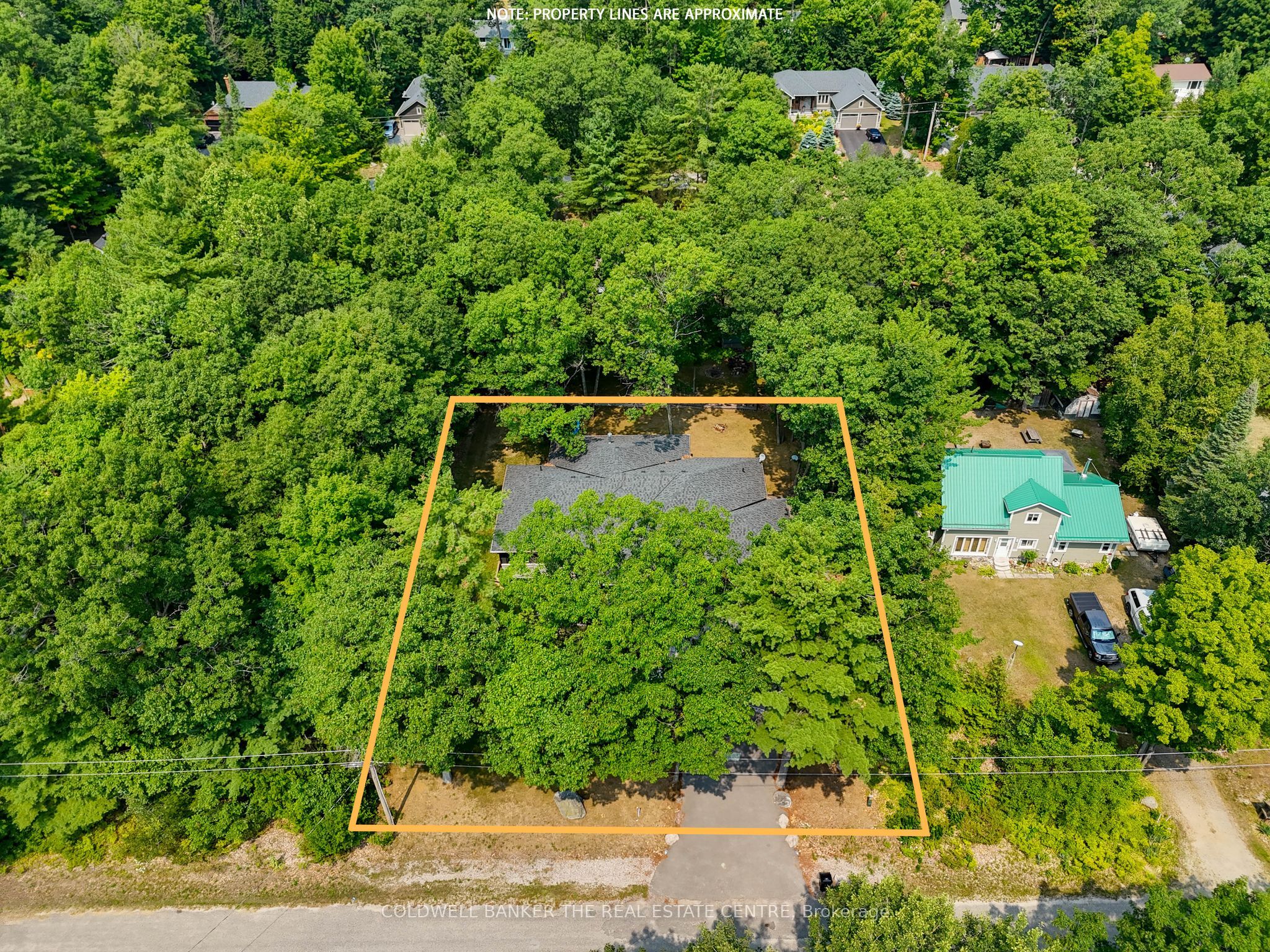 34 Oakwood Avenue Property Photo 37