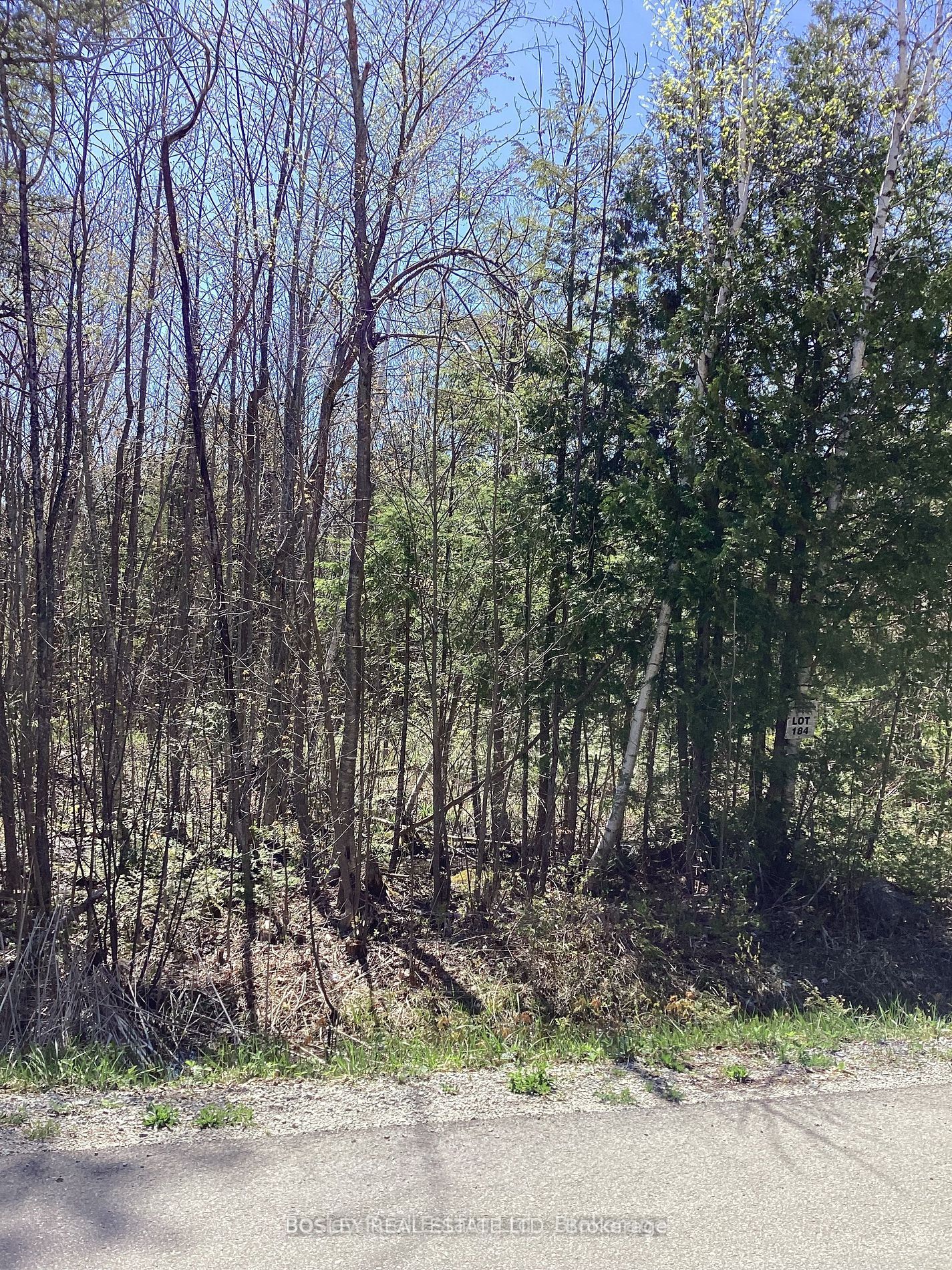 Lot 184 Champlain Road Property Photo 2