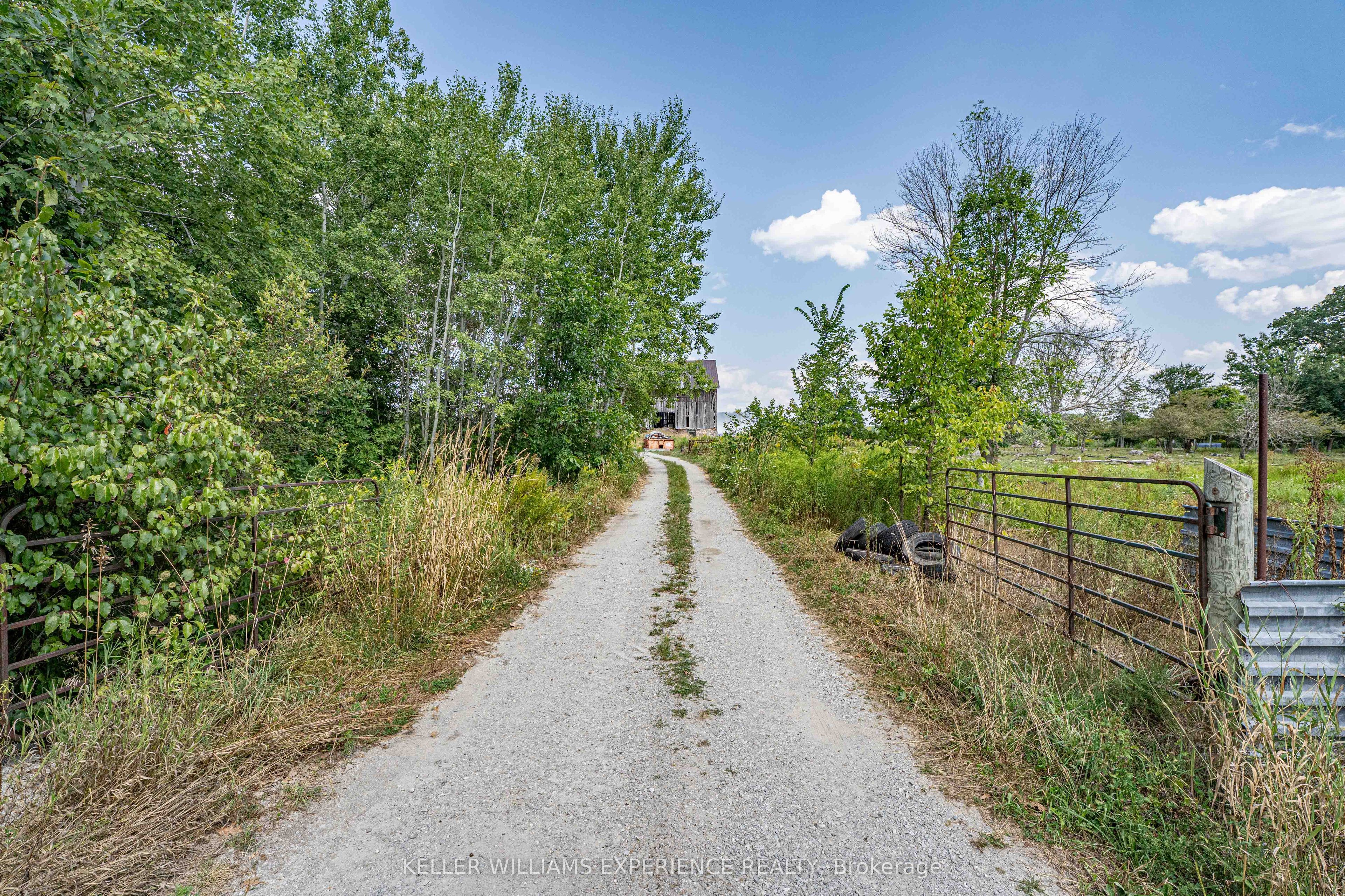 1213 Taylor Line Property Photo 31
