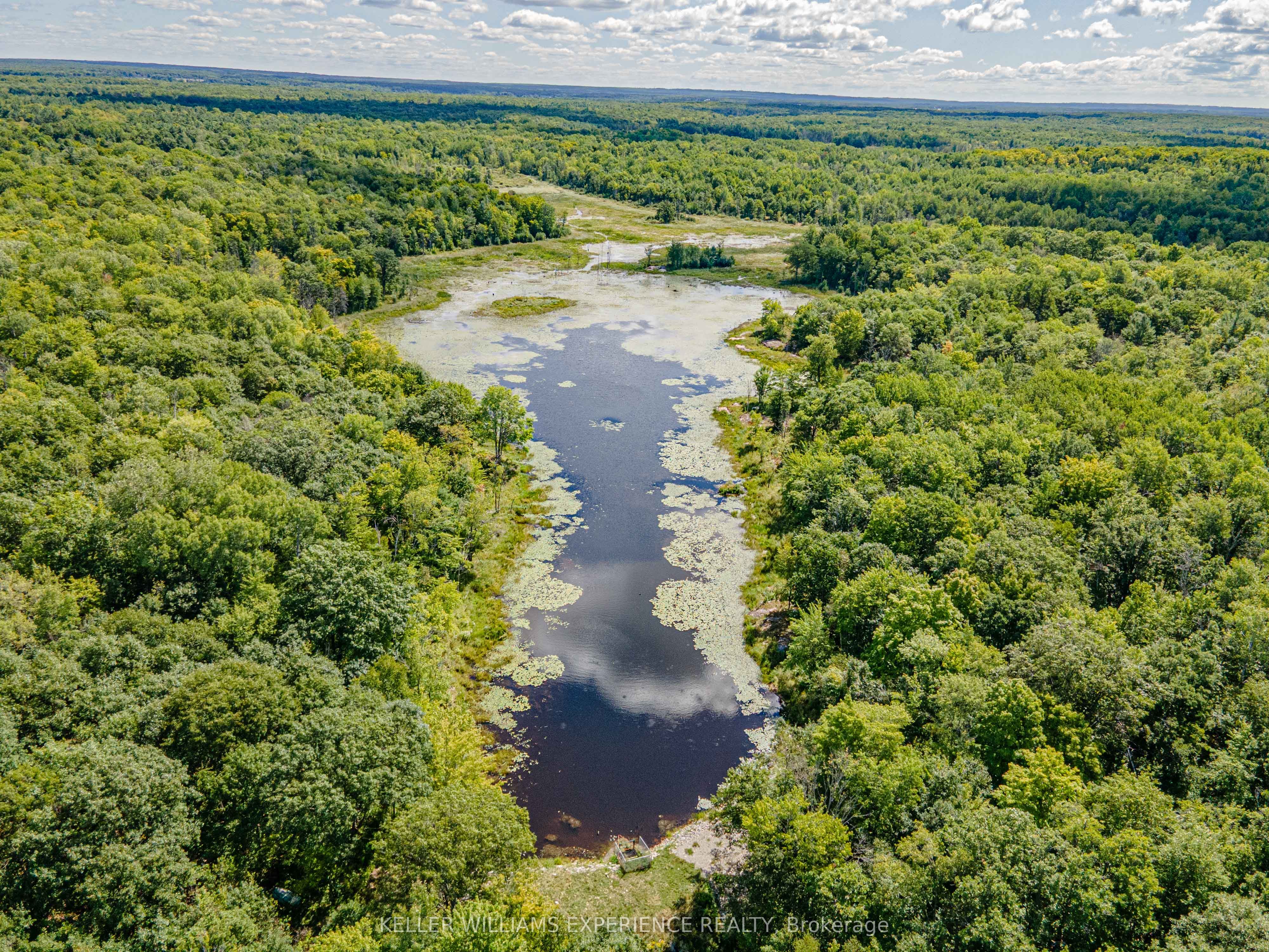 1213 Taylor Line Property Photo 40