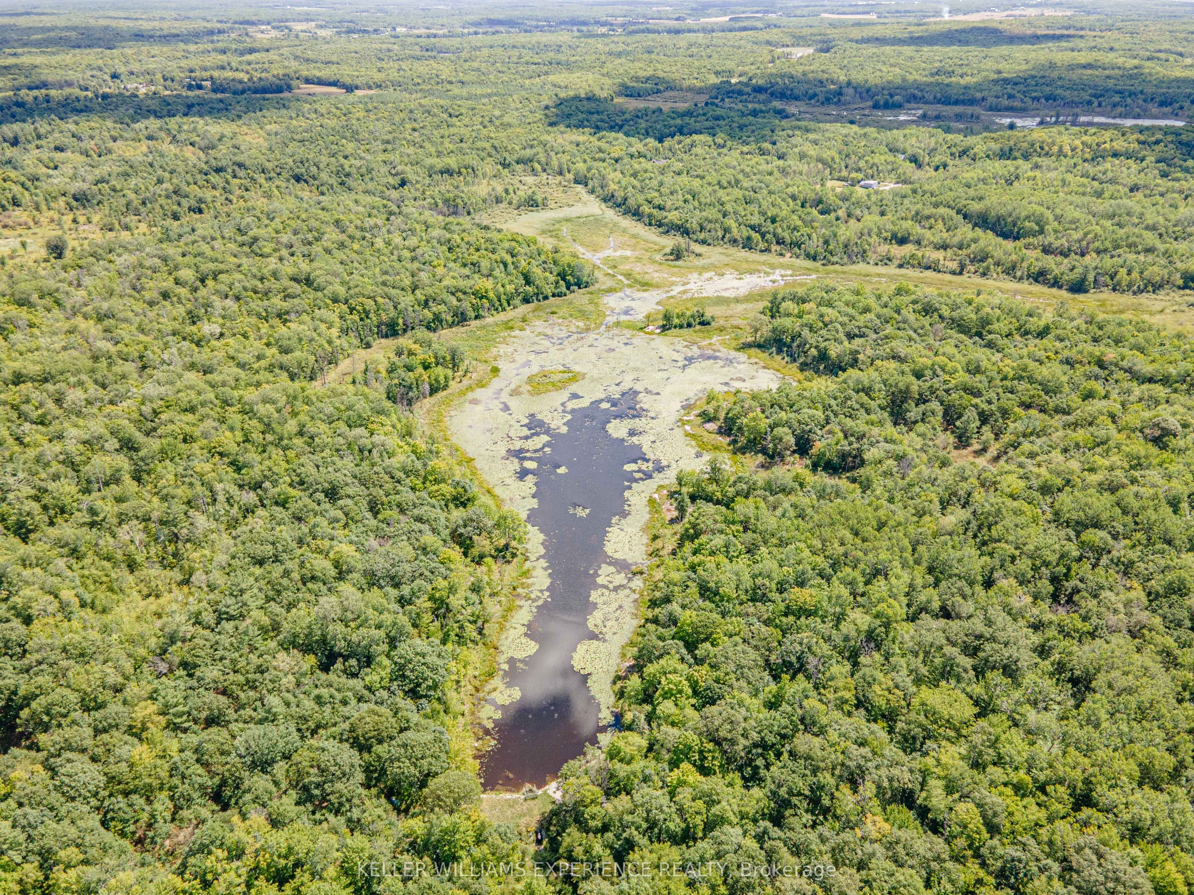 1213 Taylor Line Property Photo 42